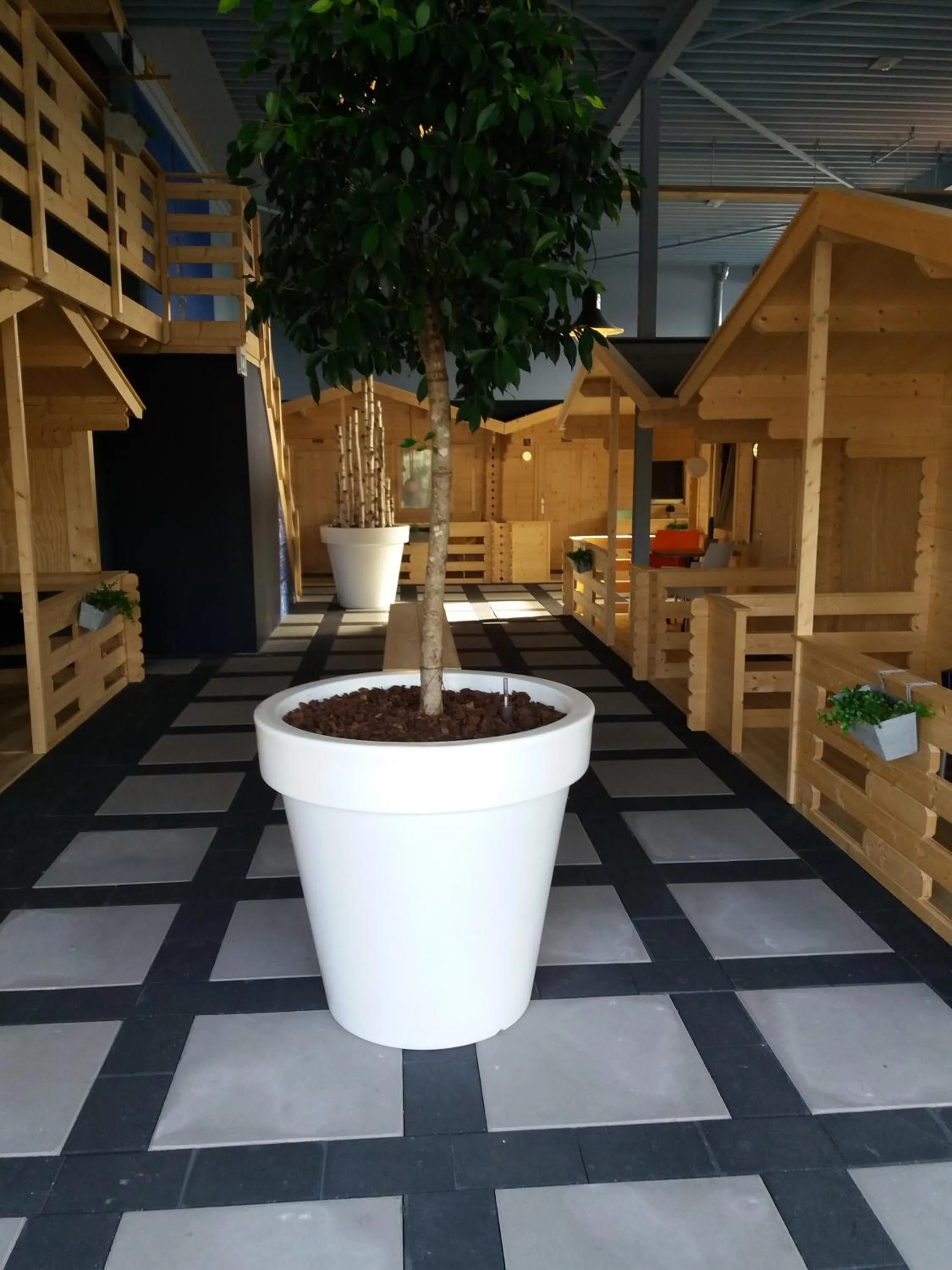 Area and facilities in Lodgehotel de Lelie