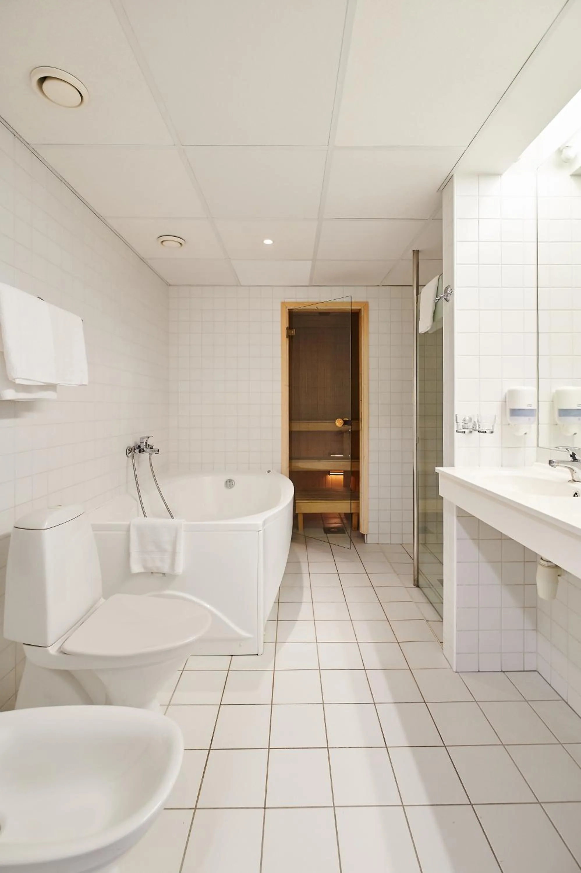 Sauna in Asa Spa Hotel