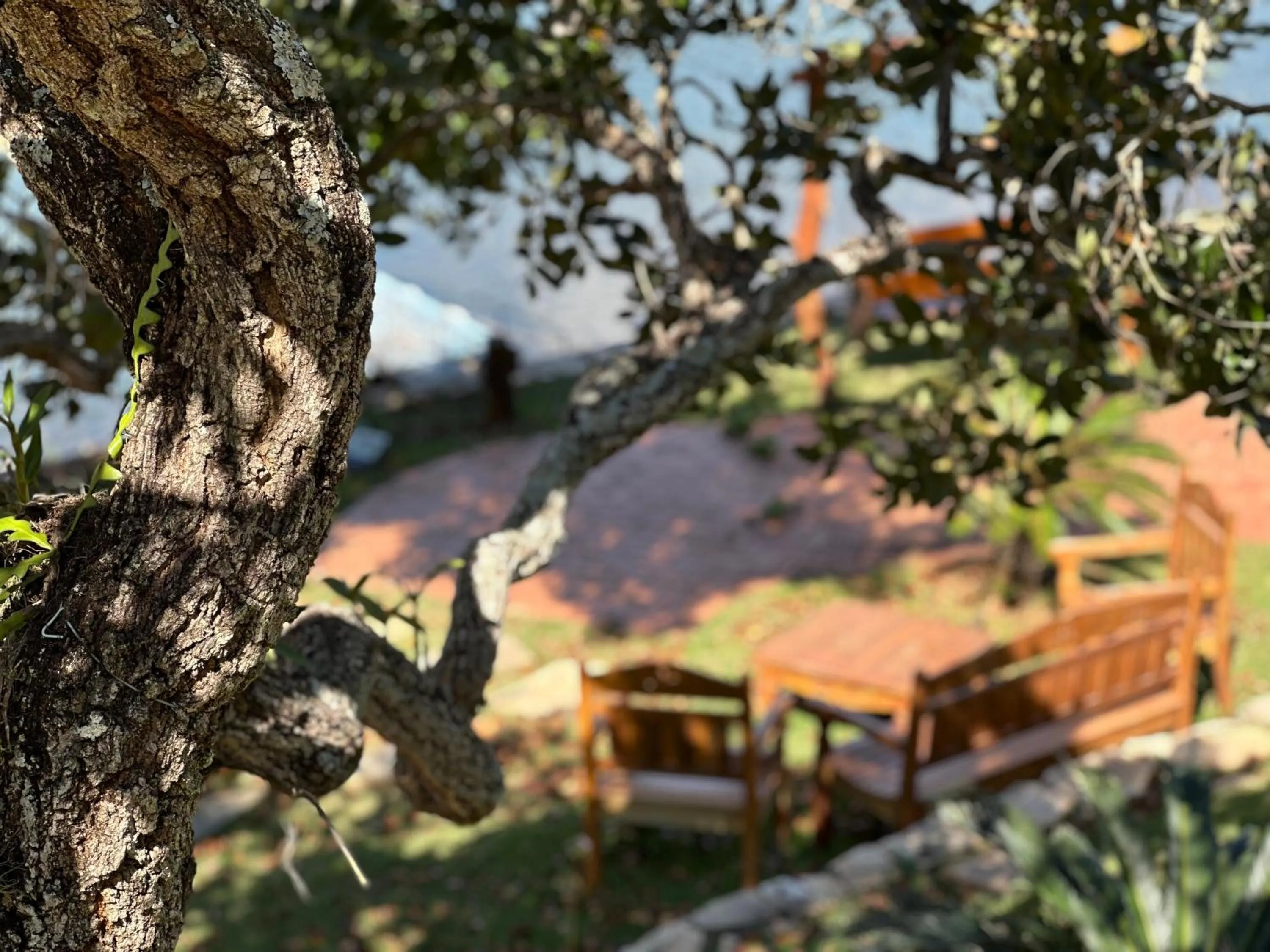 Garden in Pousada Fecho da Serra