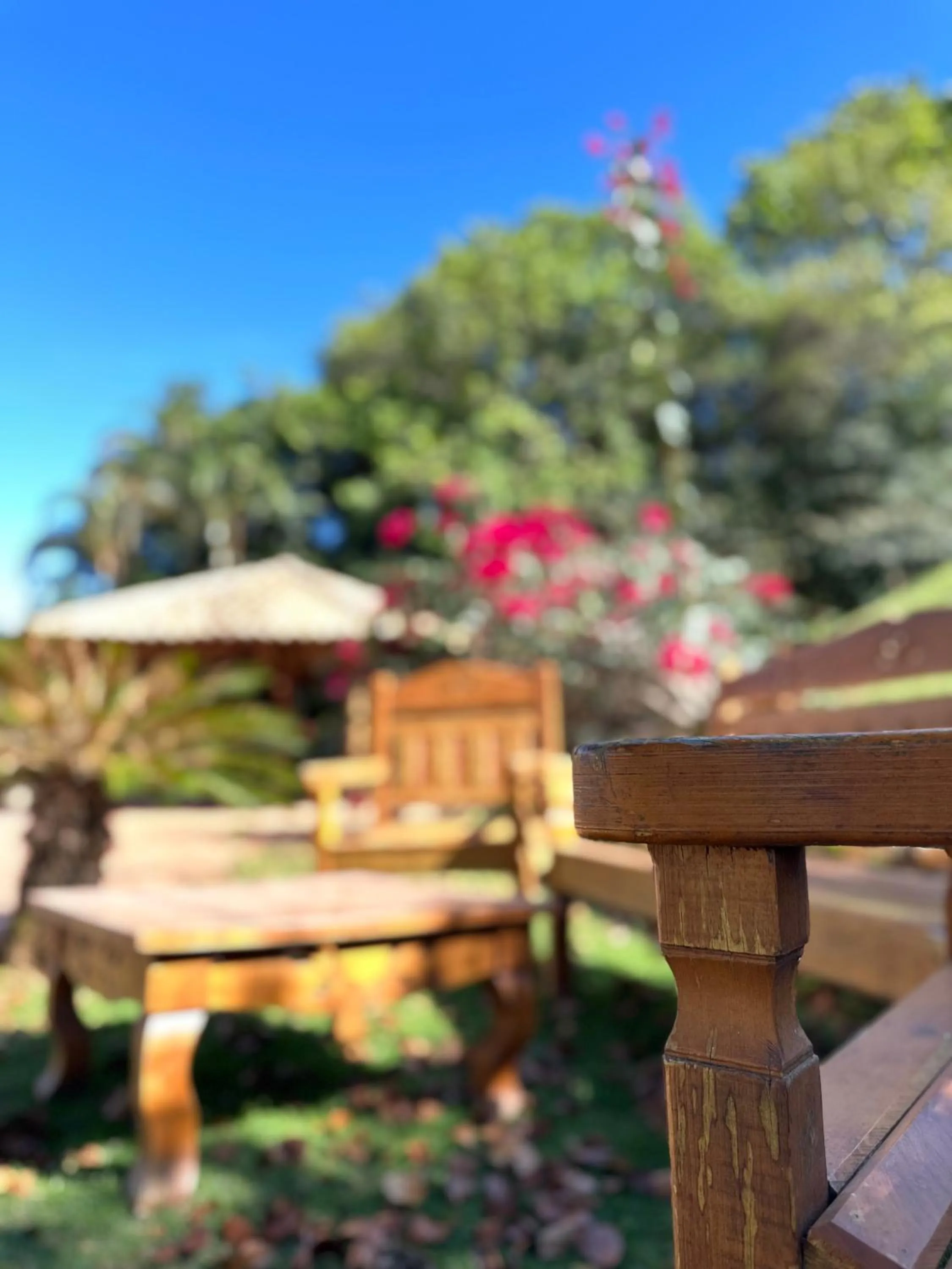 Garden in Pousada Fecho da Serra