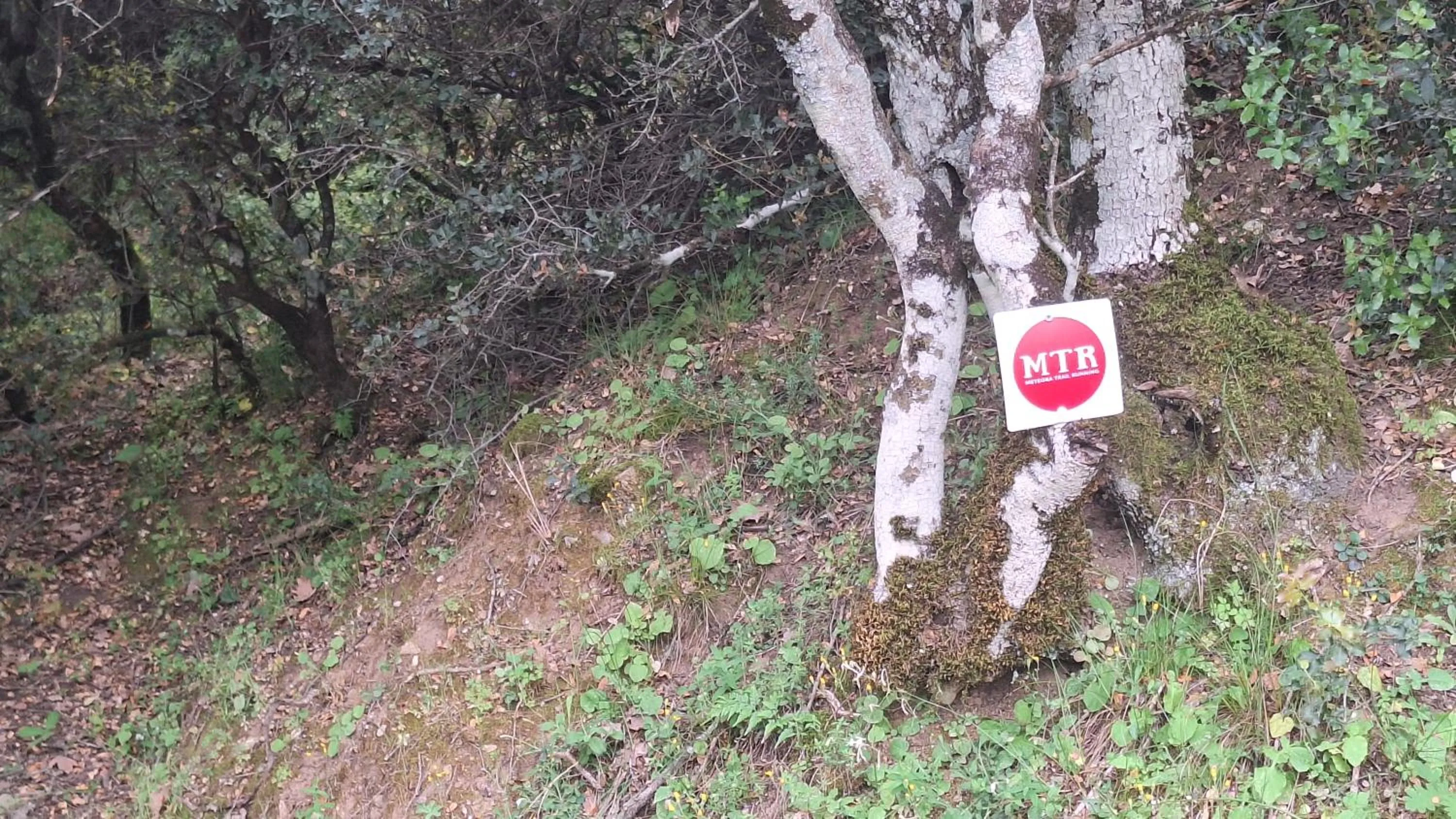 Epavlis Meteora Suites Hotel