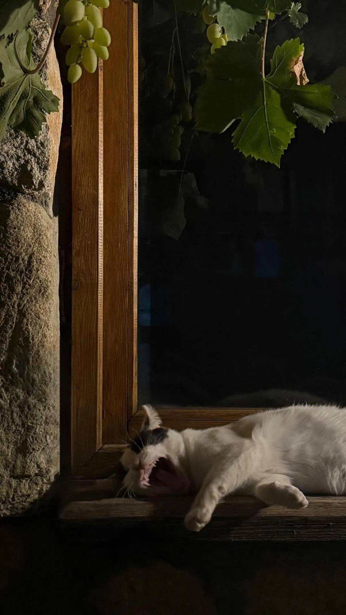 Epavlis Meteora Suites Hotel