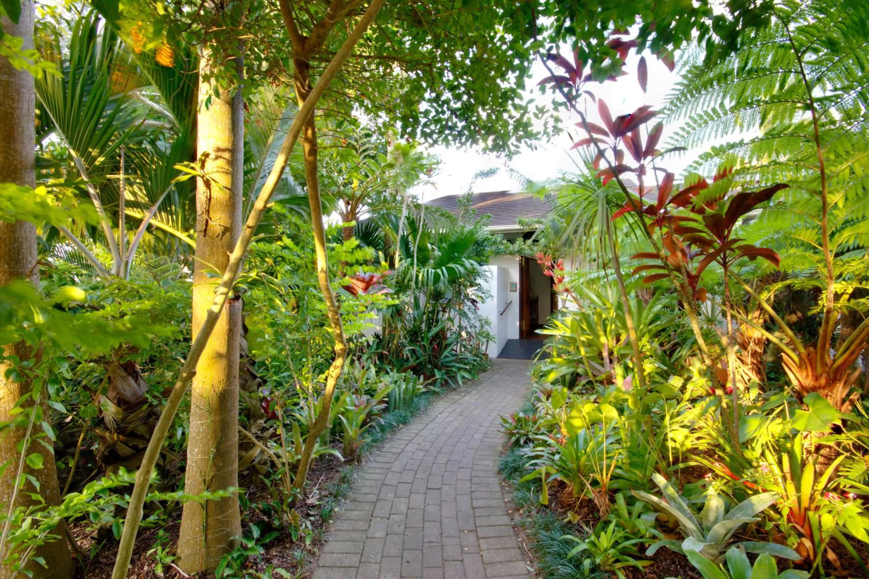 Garden in St. Lucia Wetlands Guest House