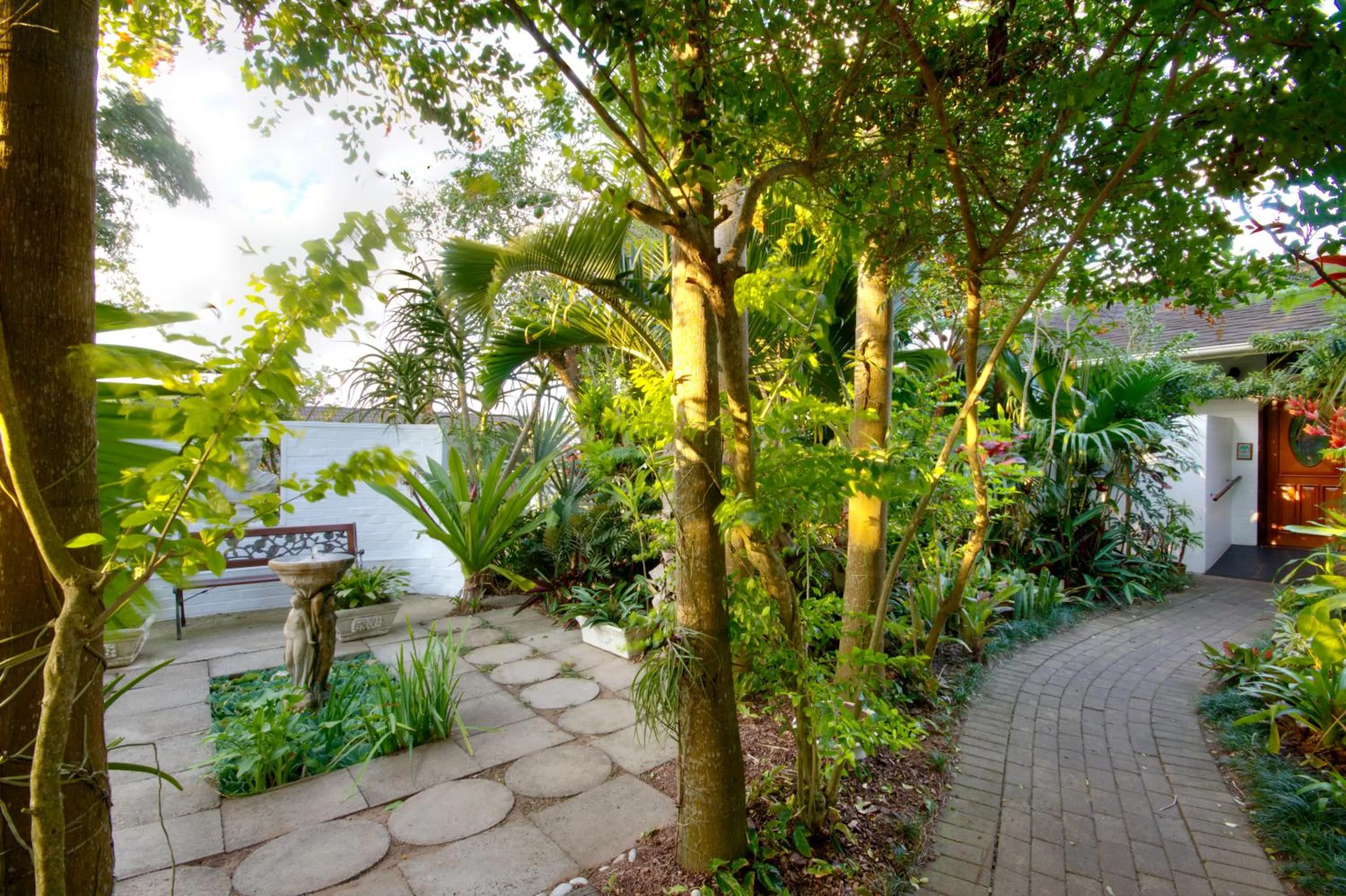 Garden in St. Lucia Wetlands Guest House
