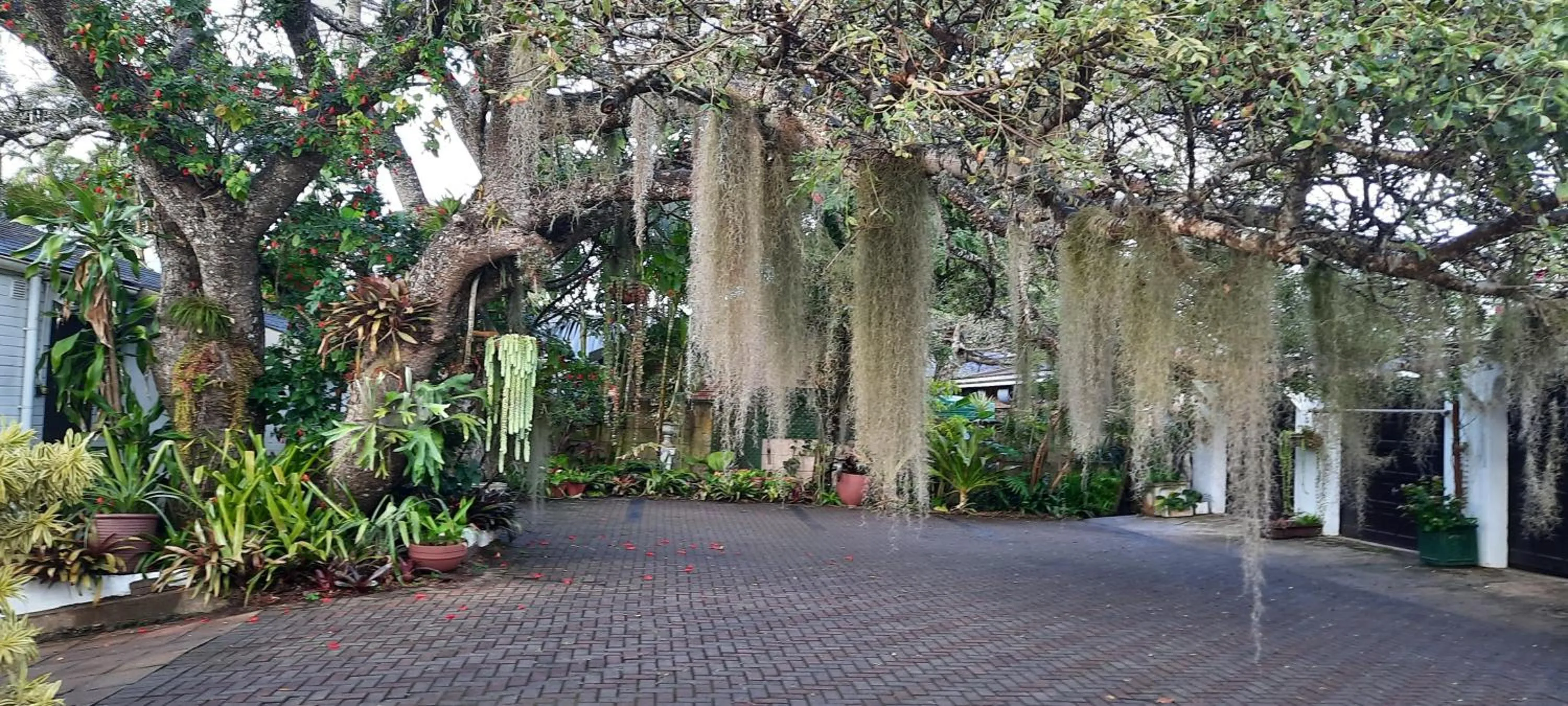 View (from property/room) in St. Lucia Wetlands Guest House