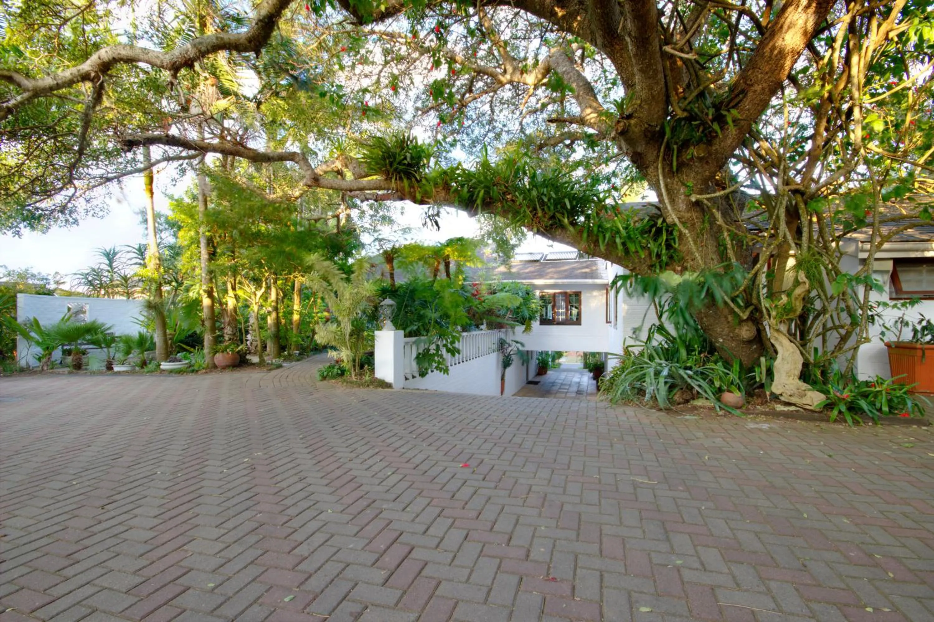 Area and facilities in St. Lucia Wetlands Guest House
