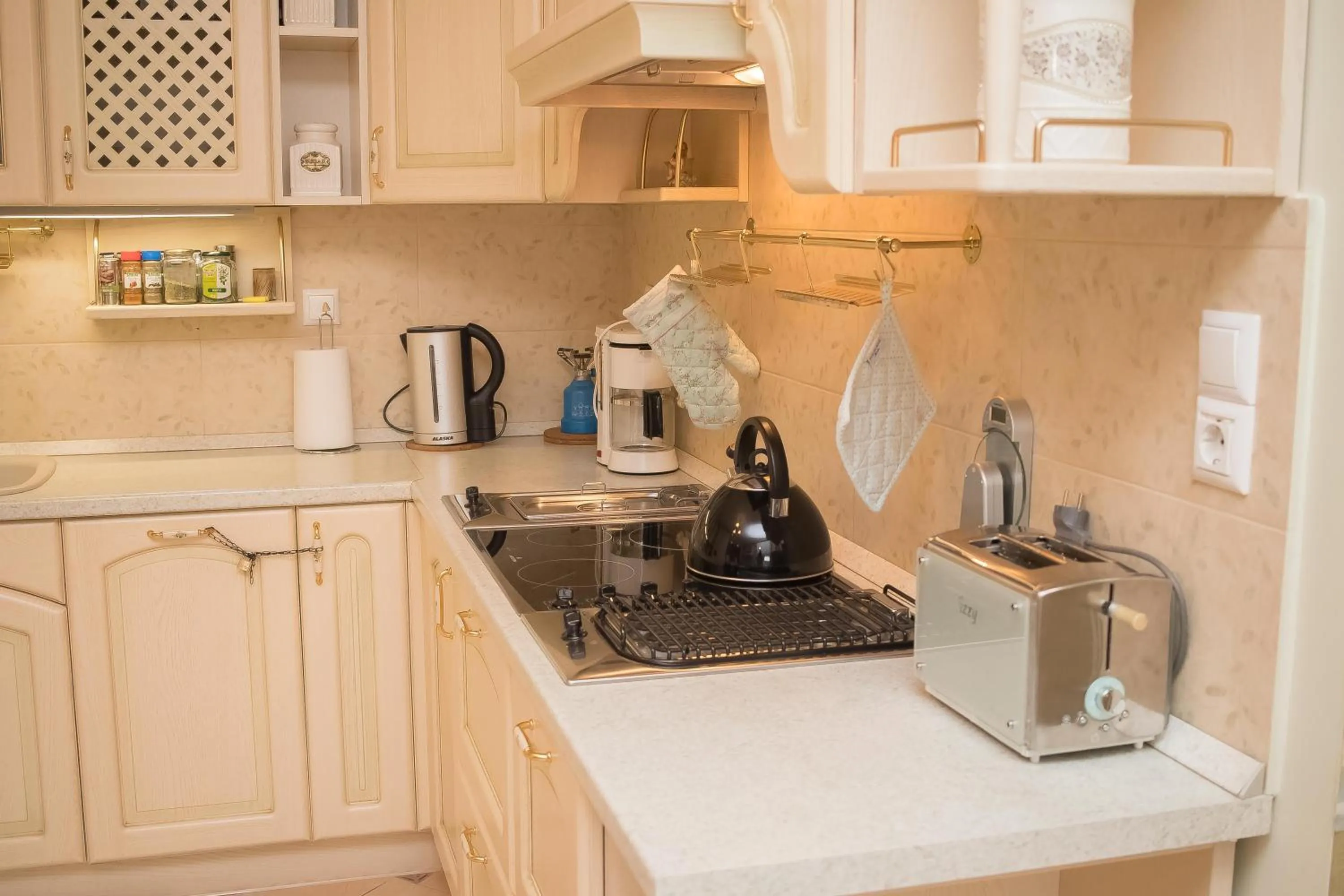 Communal kitchen in Luxury Family Villa Meteora