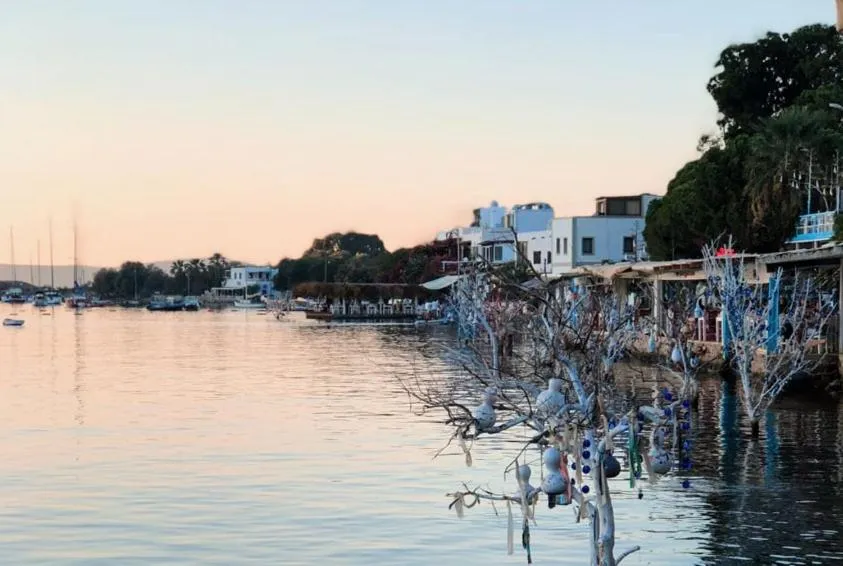 Azure Wellness Retreat