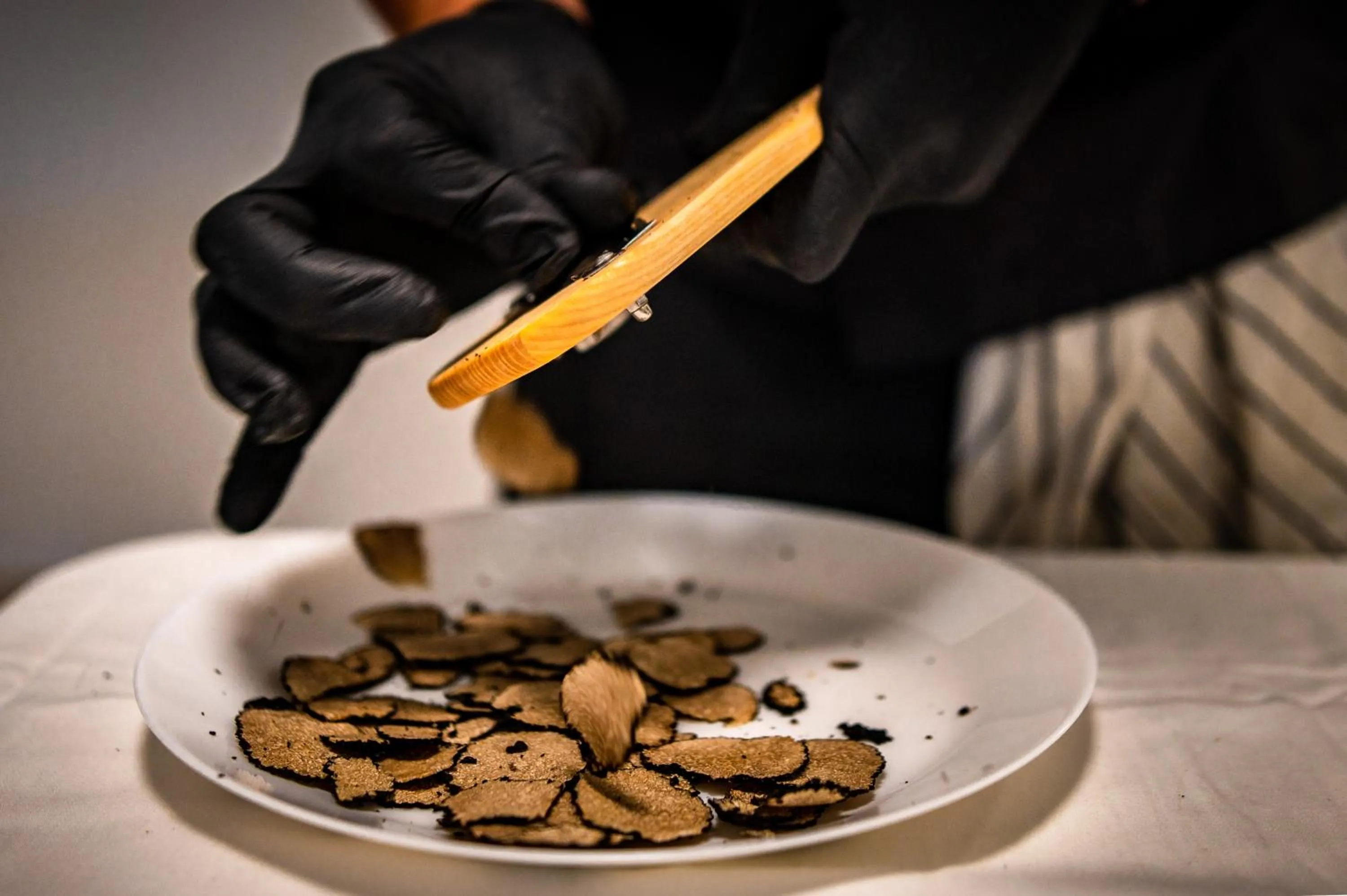 Food in Premantura Resort - Hotel & Restaurant