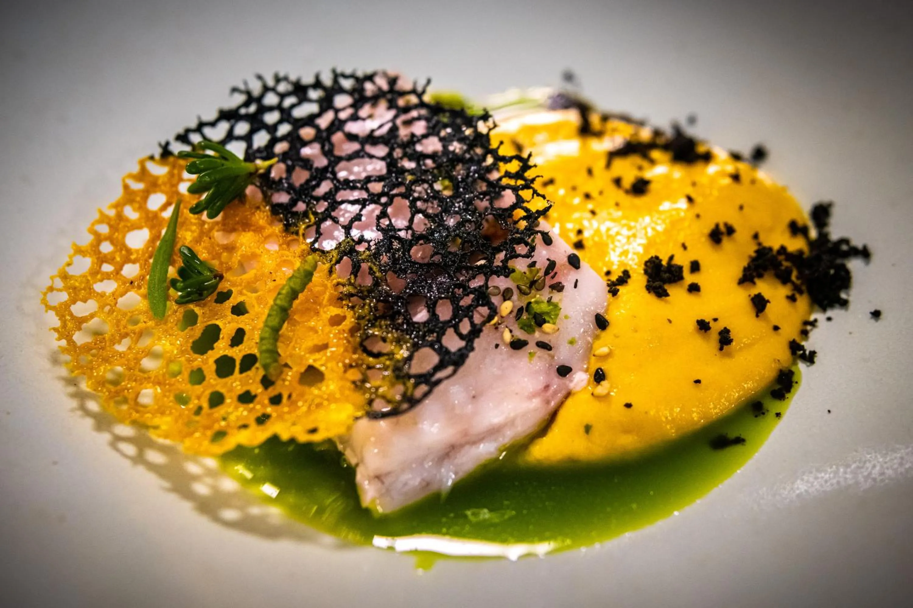 Food in Premantura Resort - Hotel & Restaurant