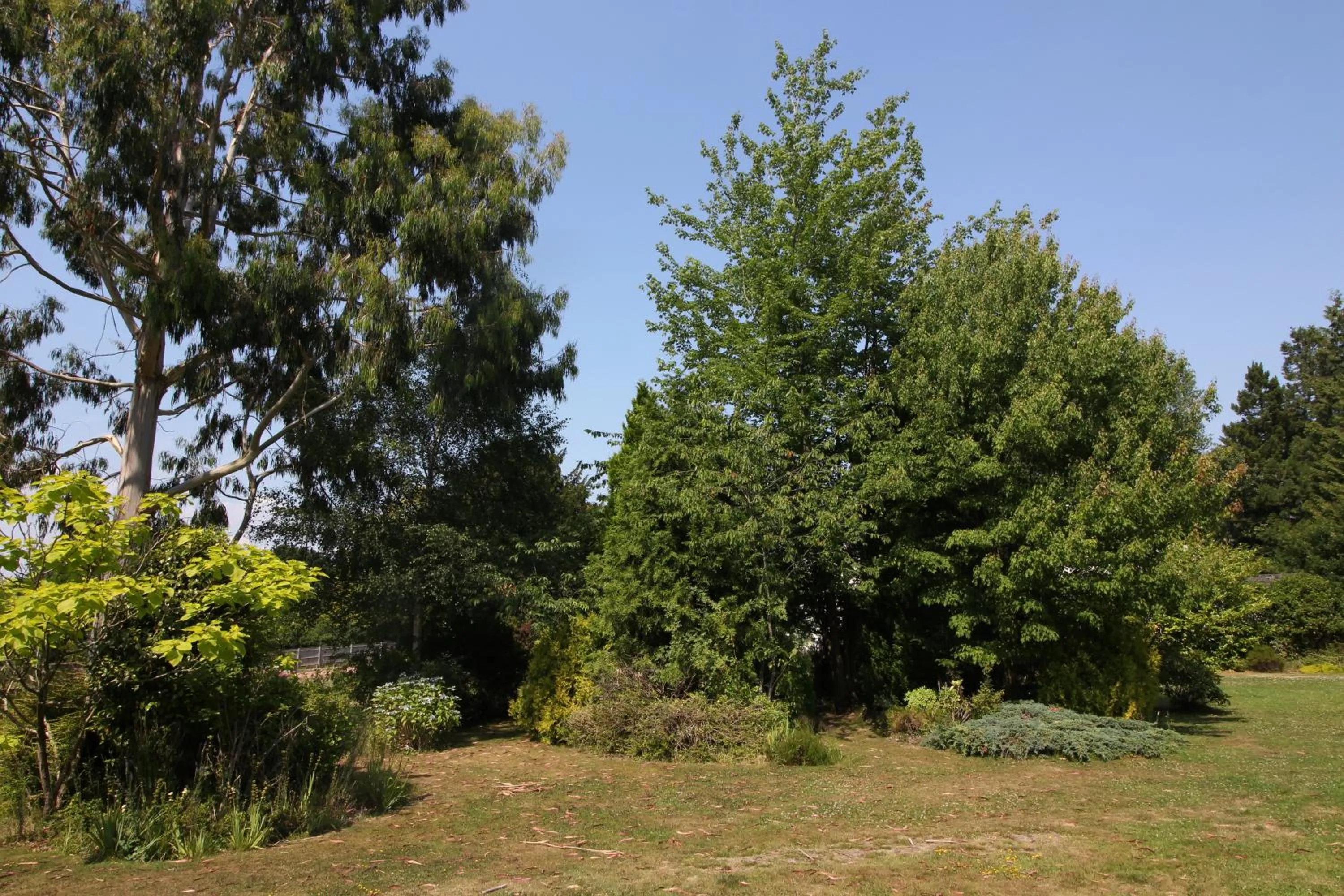 Garden in Woodlands Lodge Hotel