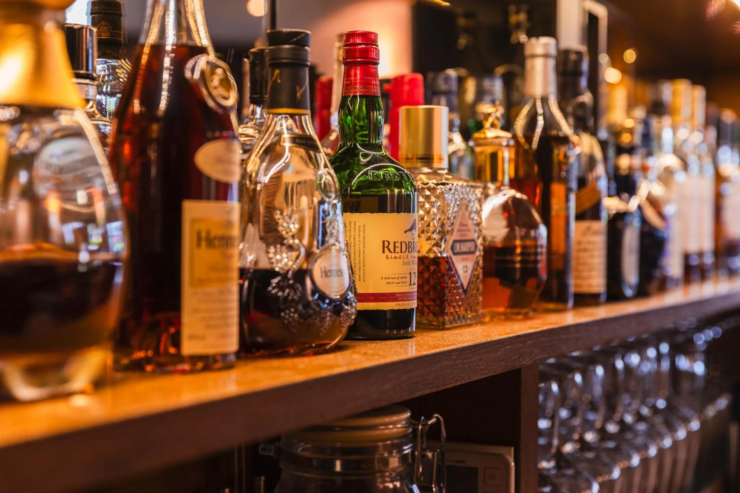 Lounge or bar in Hotel Sunroute Plaza Shinjuku