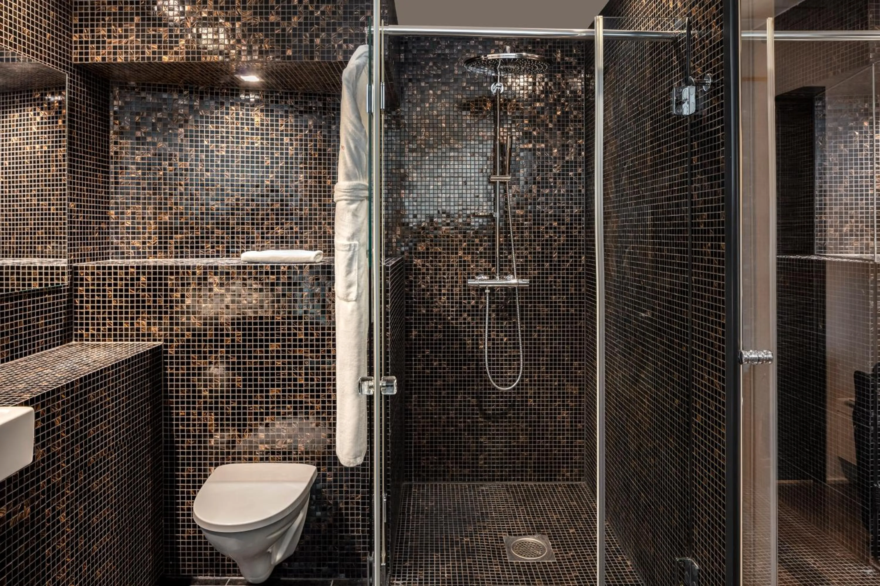 Shower in Swissotel Tallinn