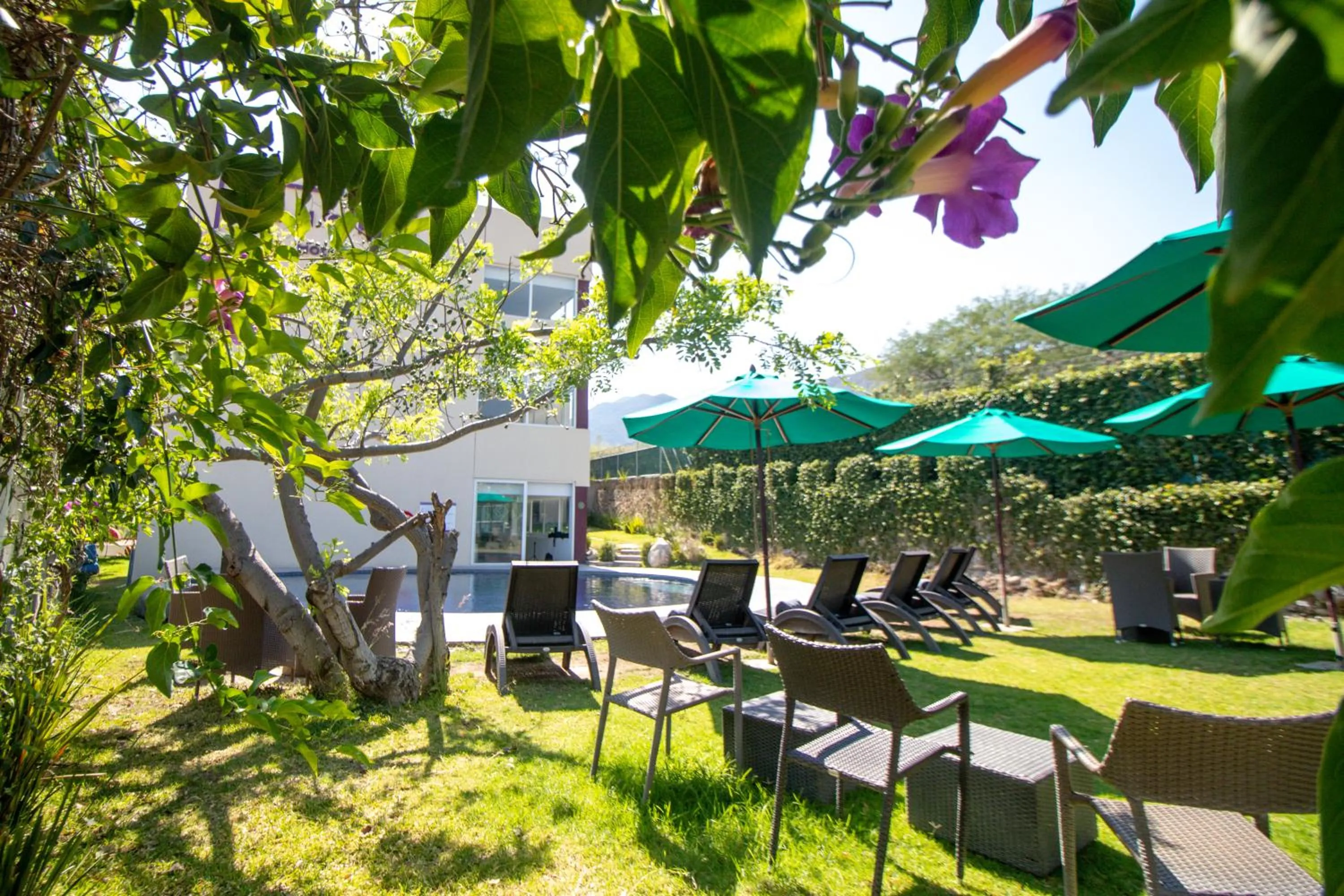 Swimming pool in Memora Hotel & Villas Chapala