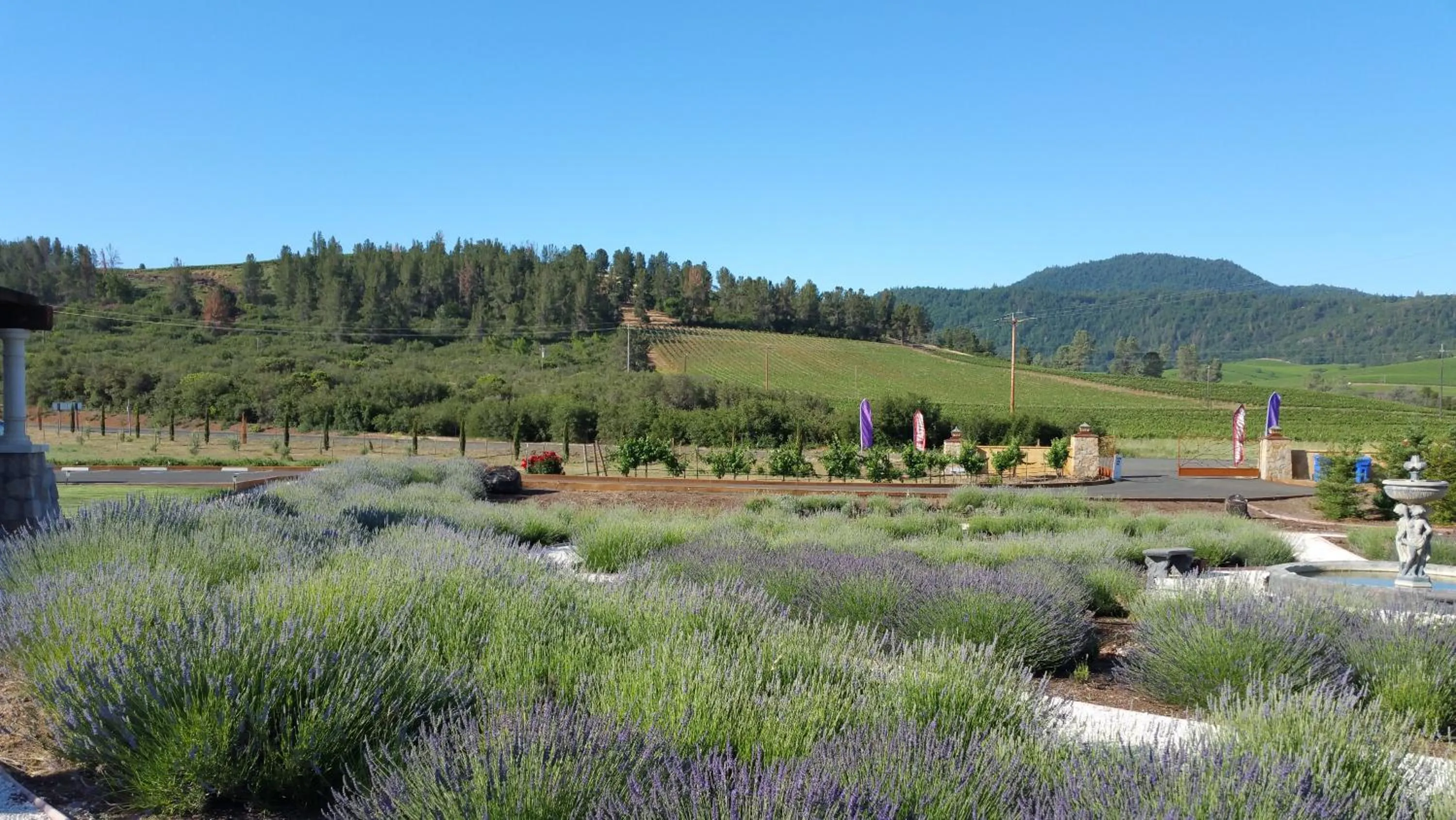 Garden view in Thorn Hill Vineyards Villa Suites