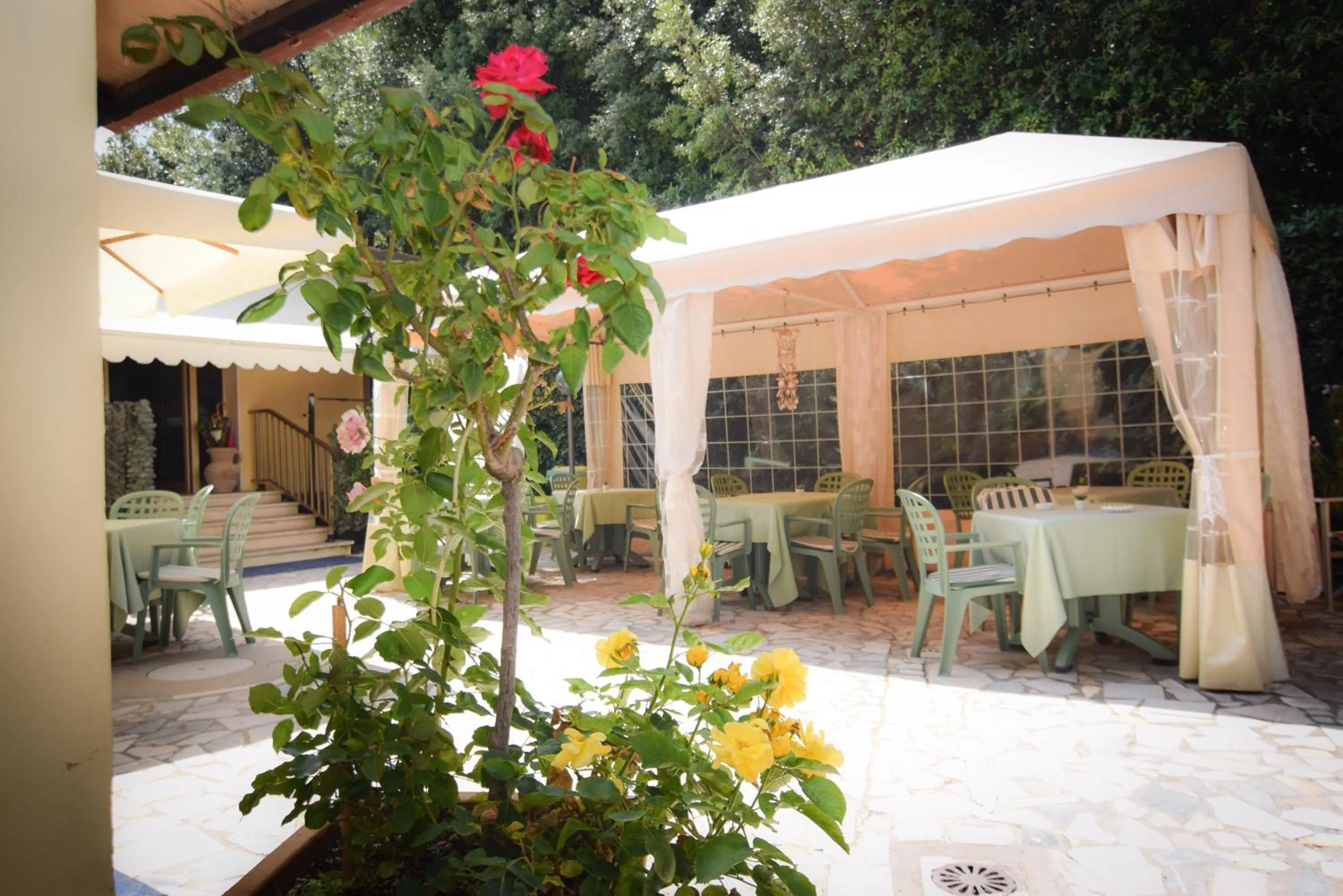 Garden in Hotel Villa Denia