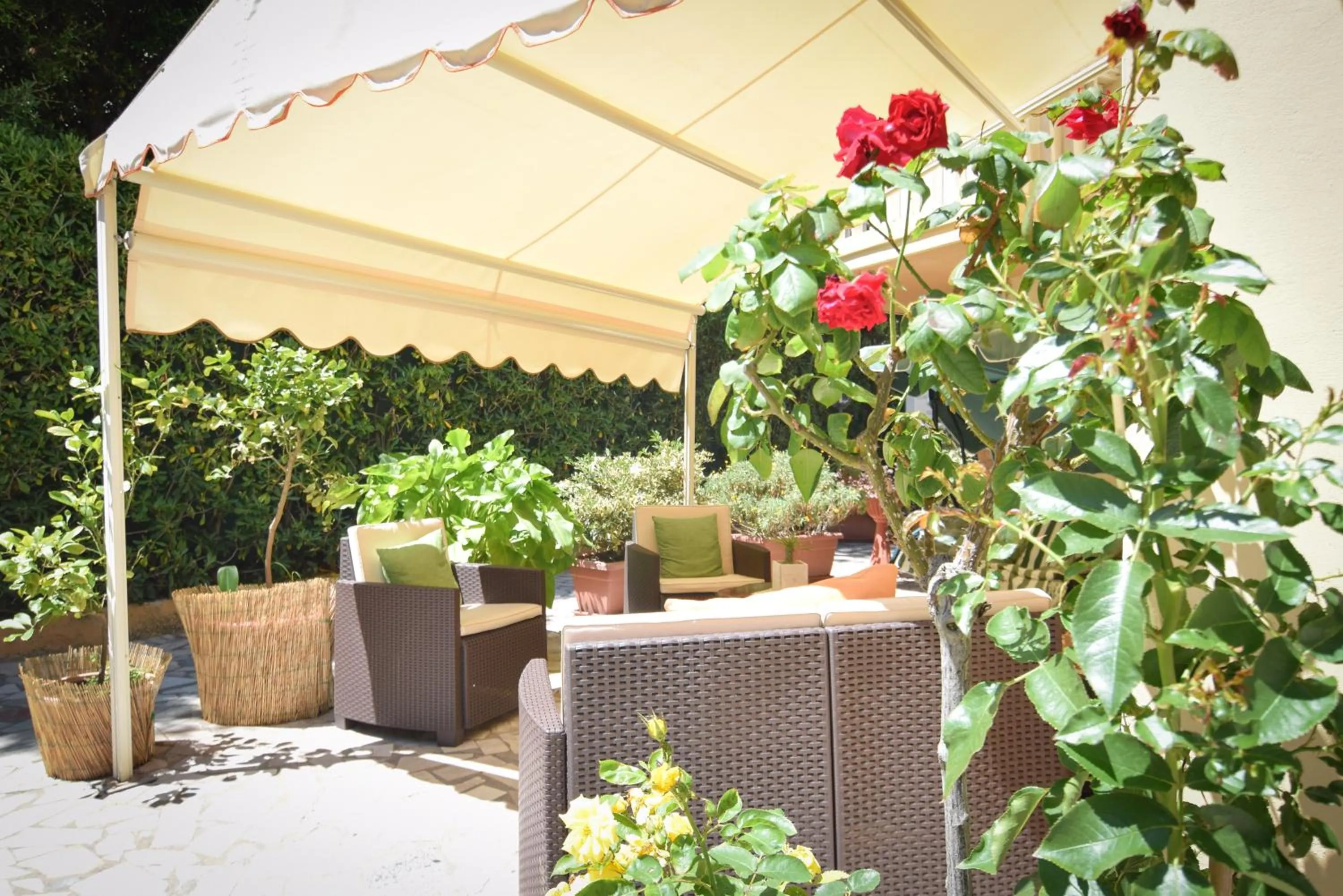 Garden in Hotel Villa Denia