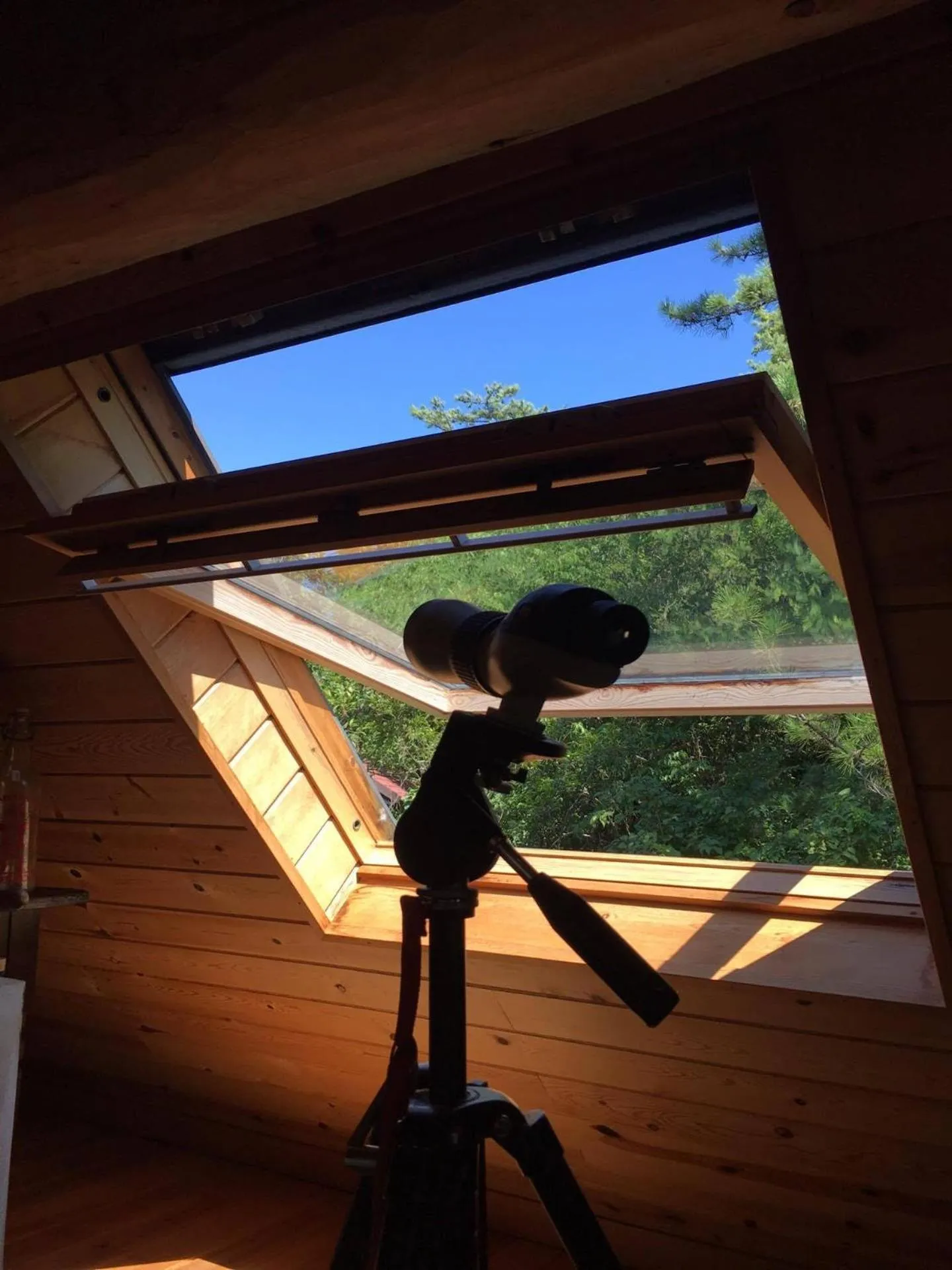 Area and facilities in Deja vu