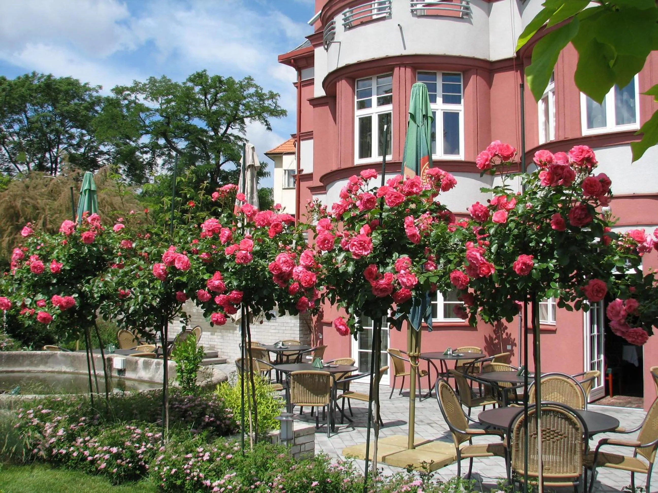 Restaurant/places to eat in Hotel Villa