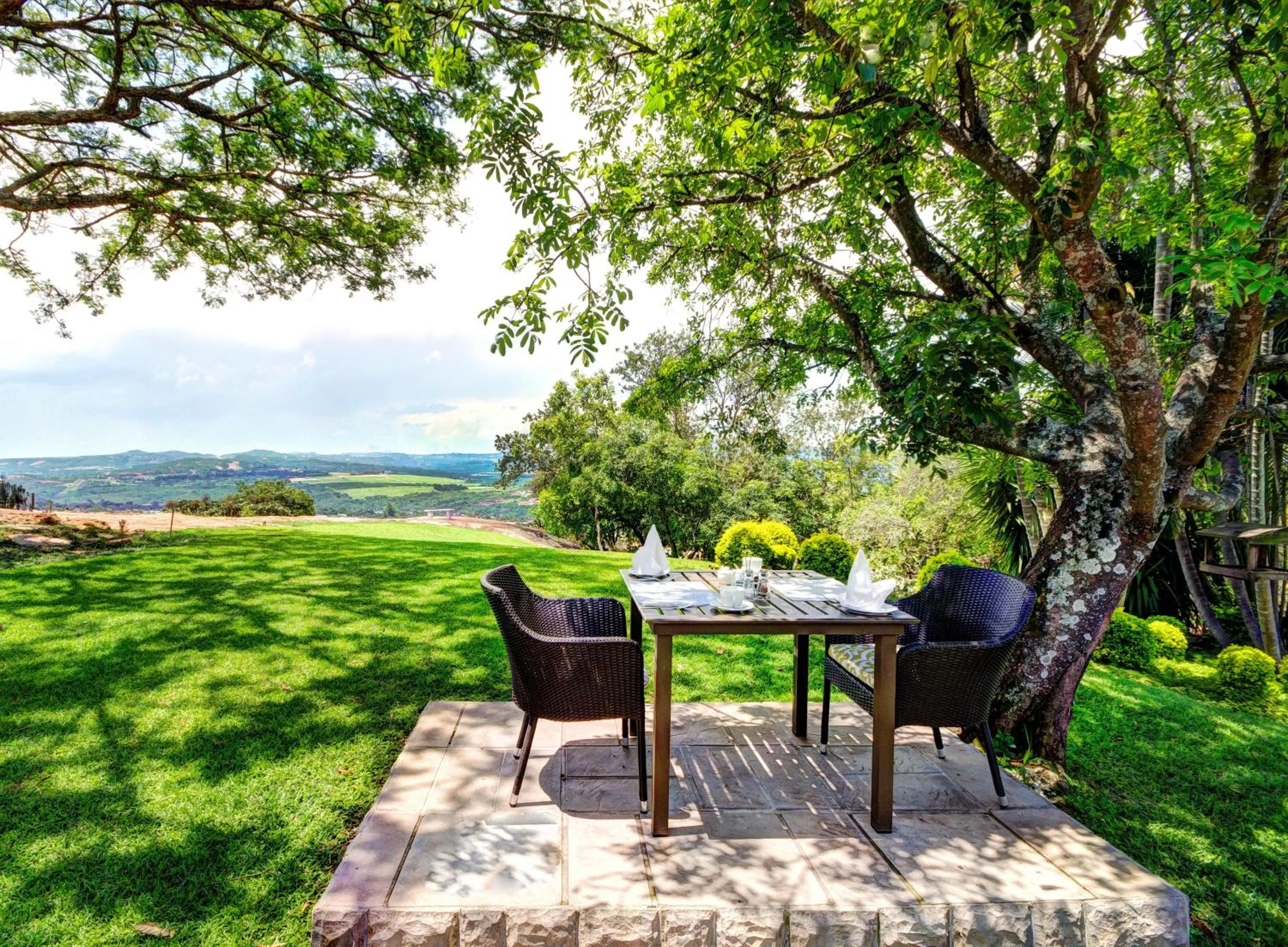 Garden view in Loerie's Call Guesthouse