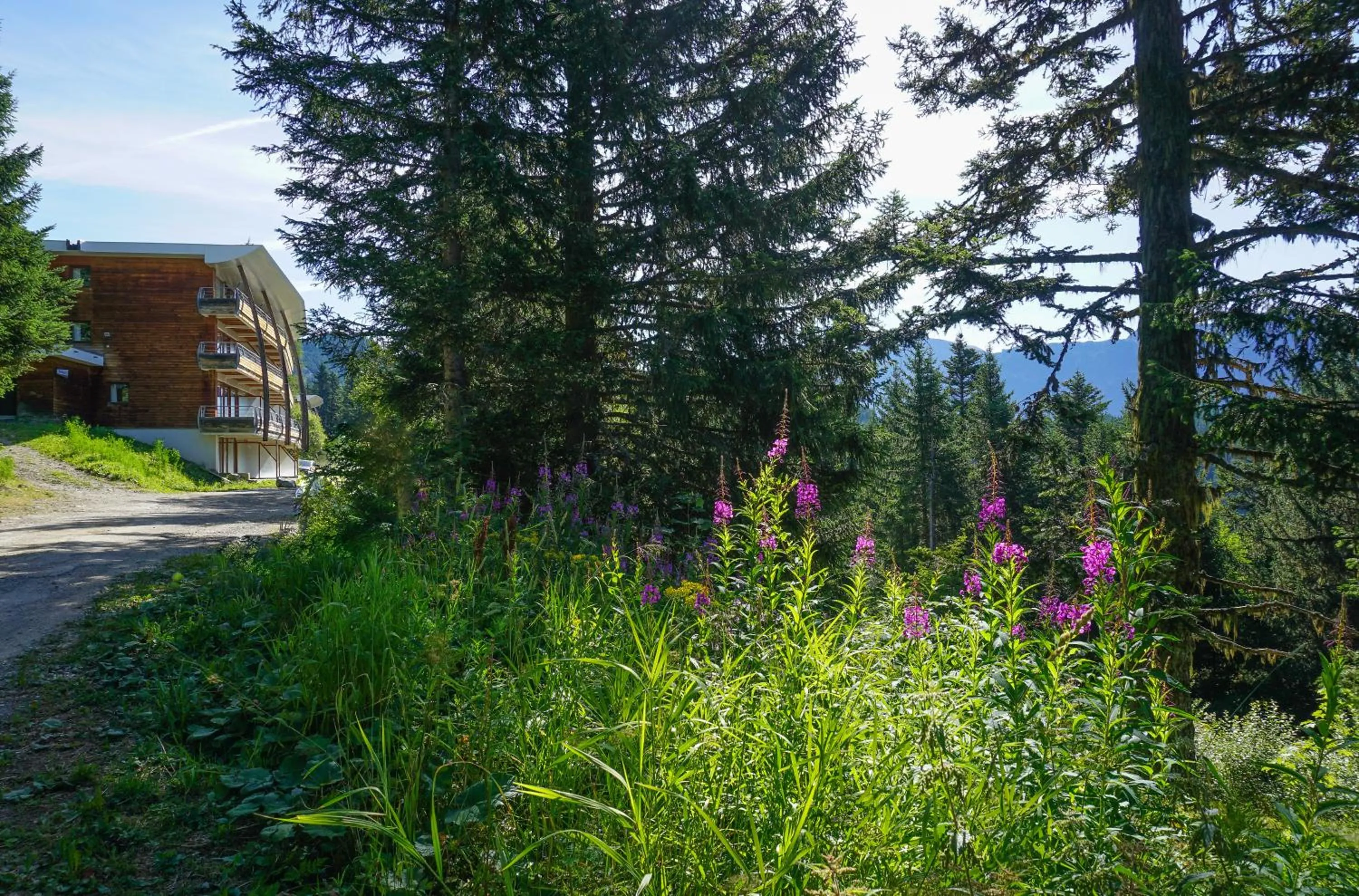 Garden in Résidence Les Villages du Bachat