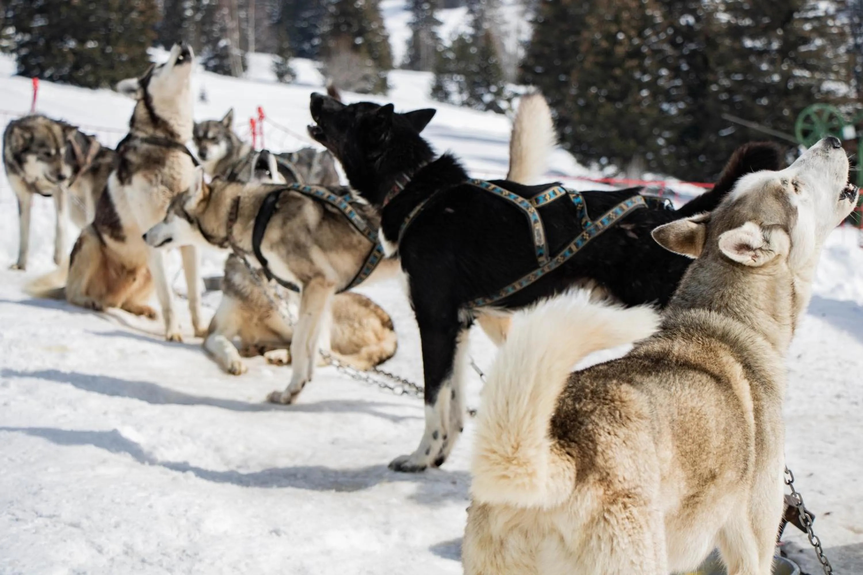Activities in Résidence Les Villages du Bachat