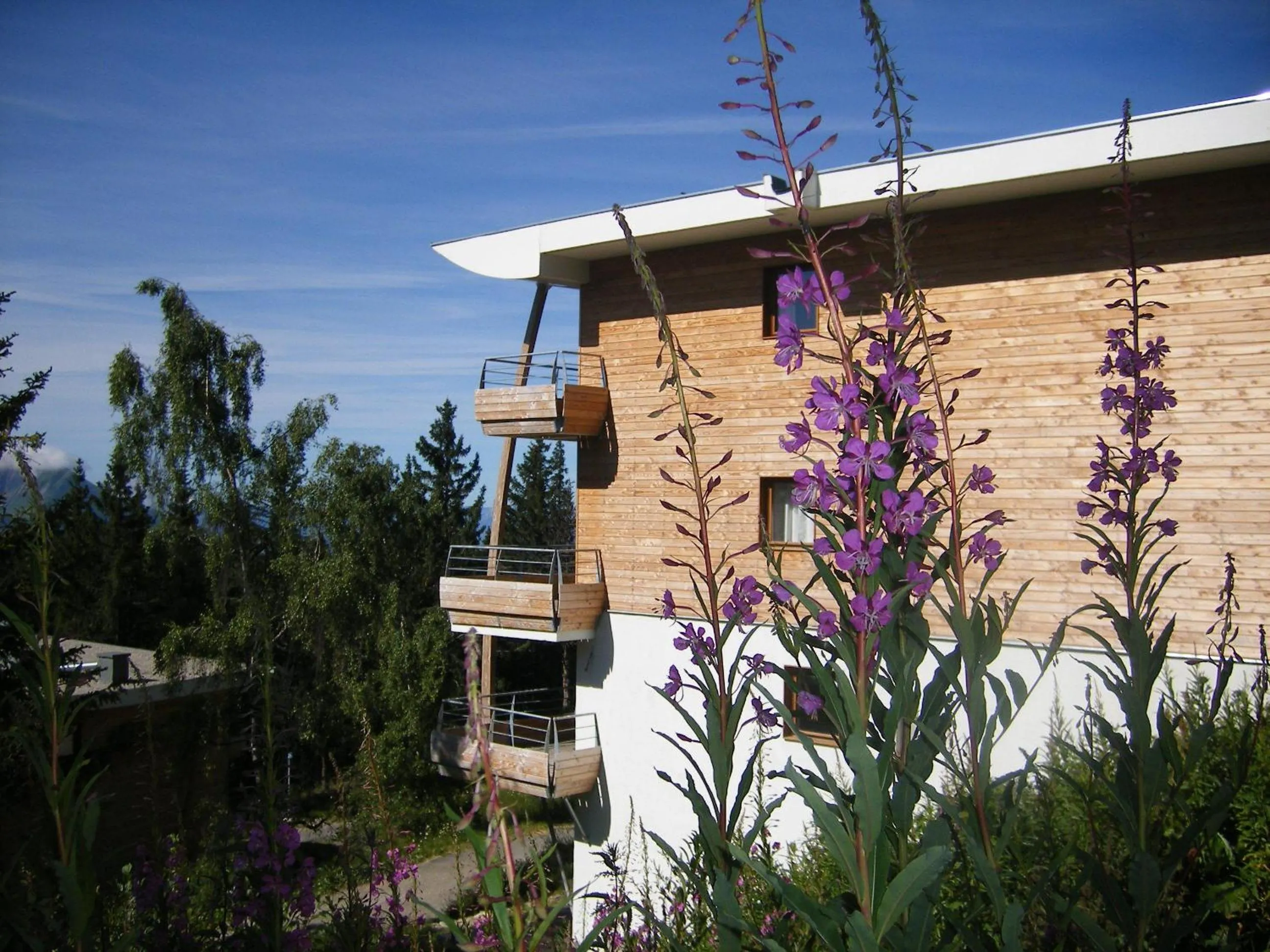 Balcony/Terrace in Résidence Les Villages du Bachat