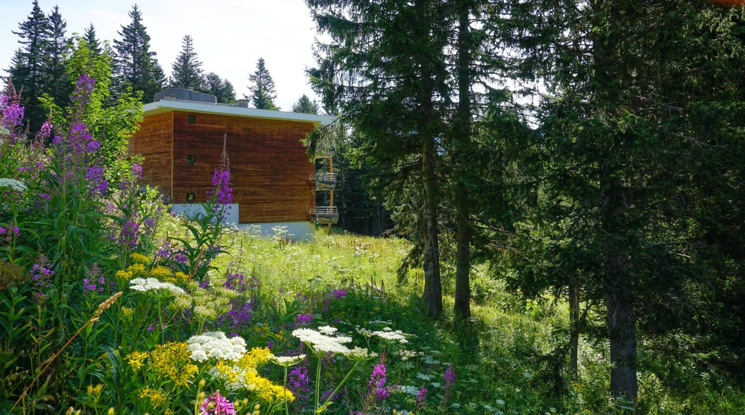 Garden in Résidence Les Villages du Bachat