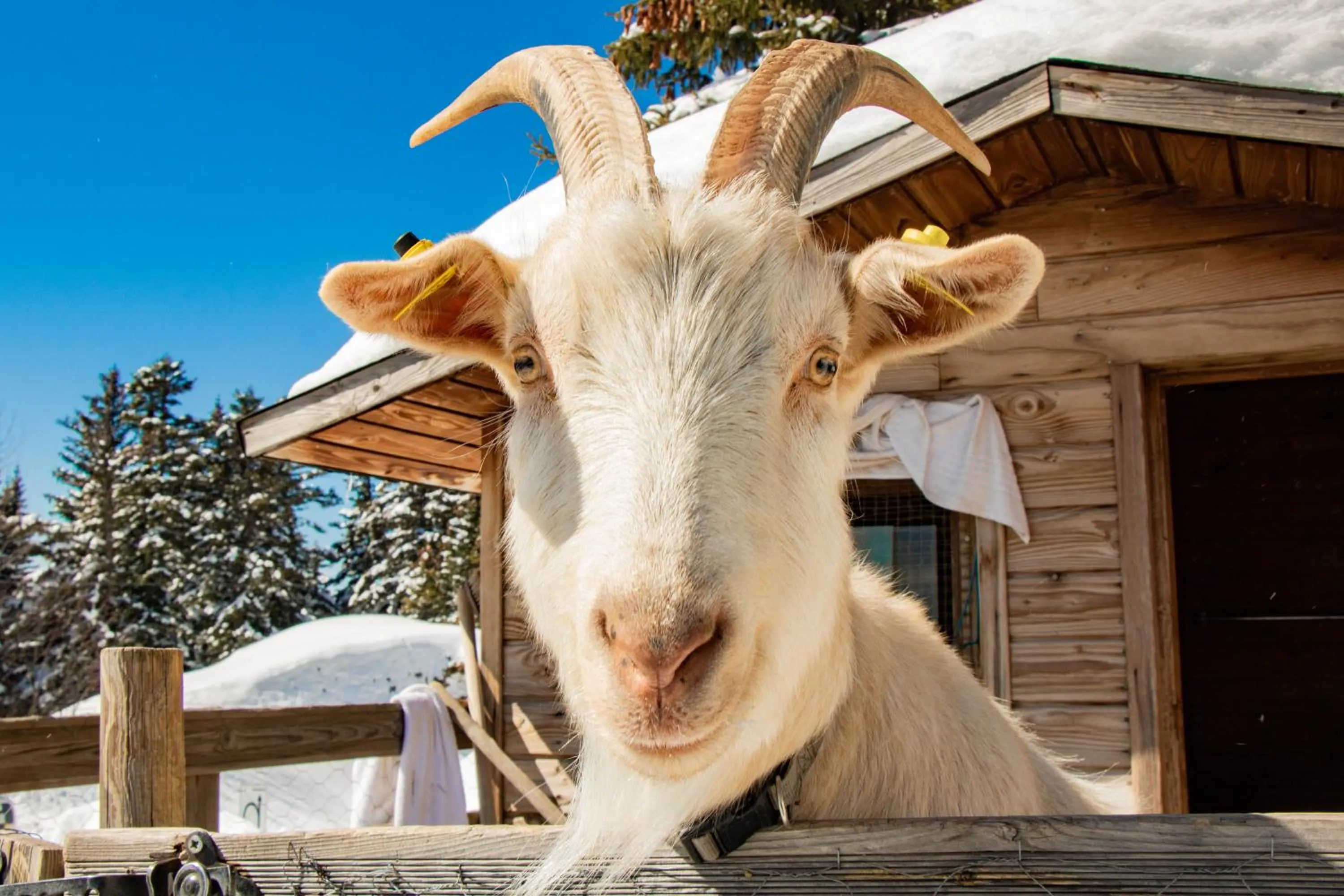 Activities in Résidence Les Villages du Bachat