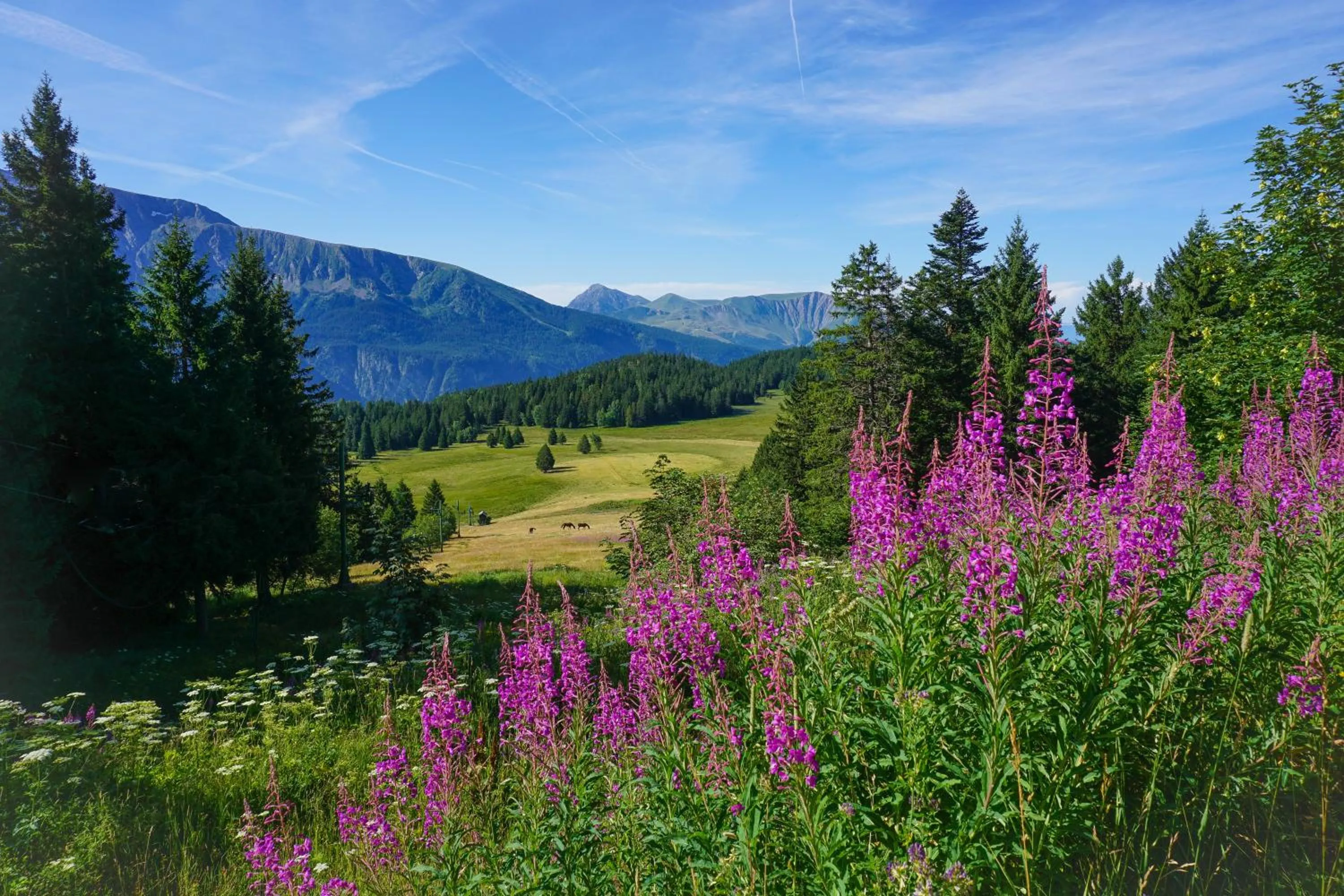 Nearby landmark in Résidence Les Villages du Bachat