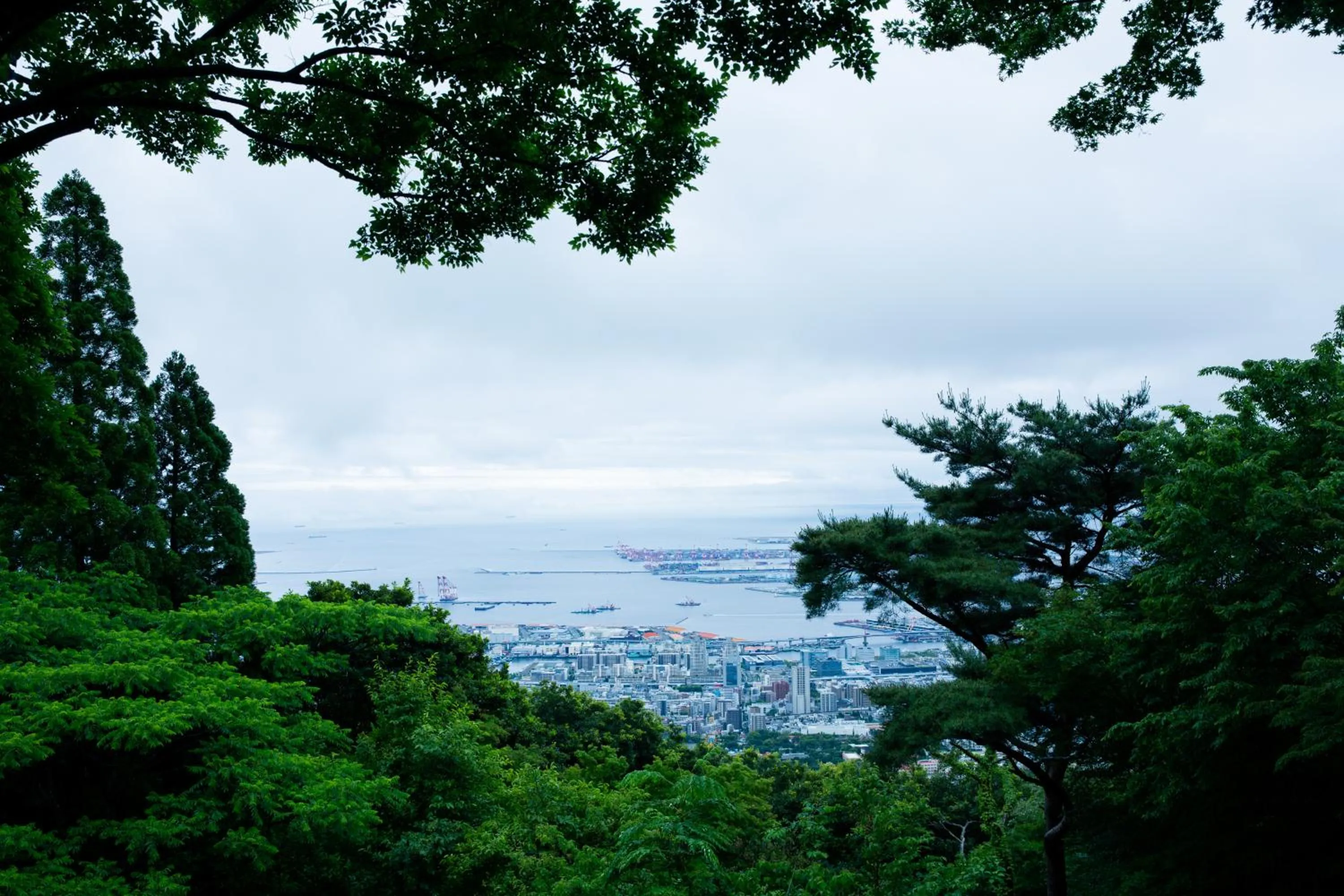 Nearby landmark in Kobe Guesthouse MAYA
