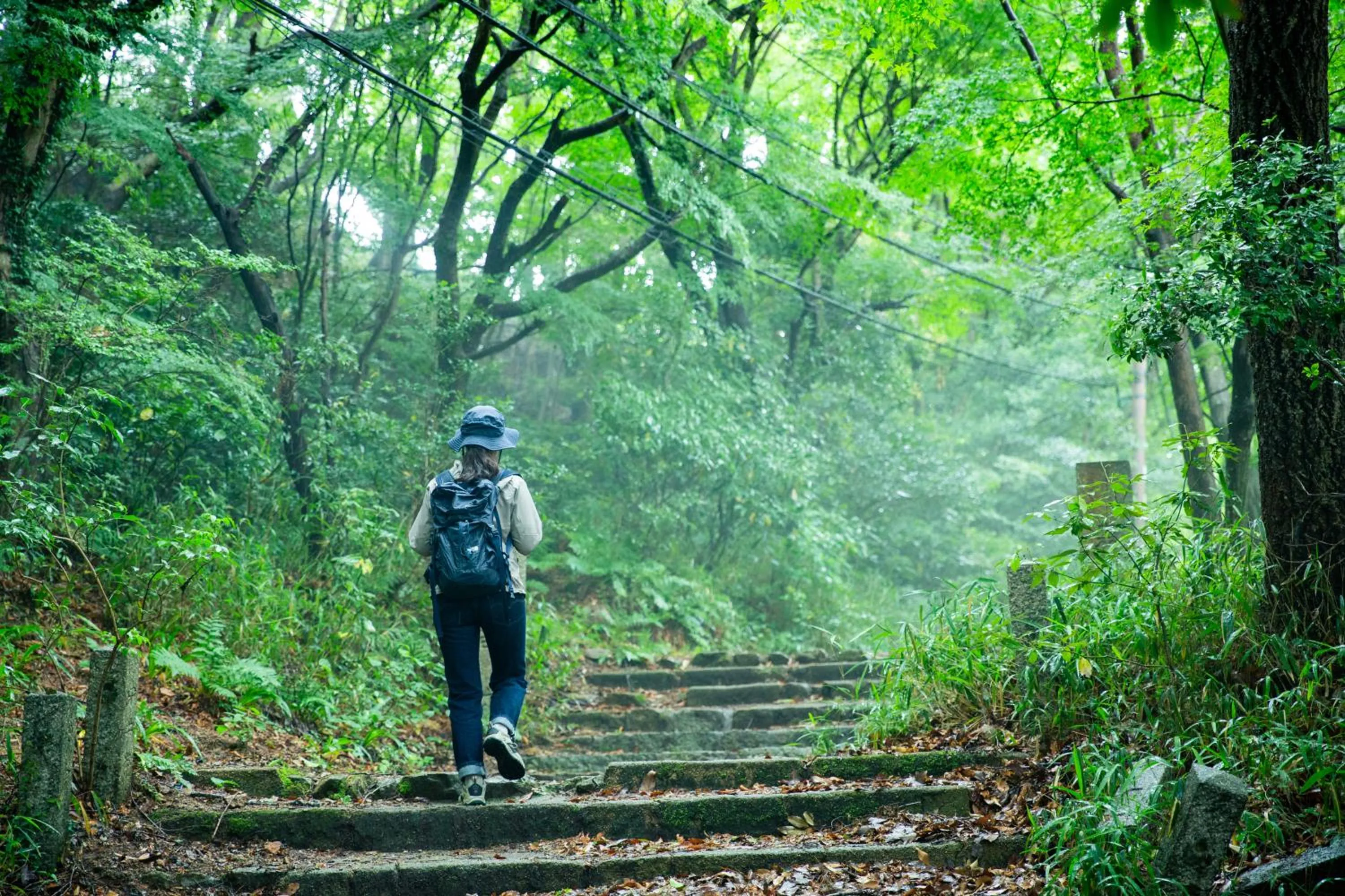 Day in Kobe Guesthouse MAYA