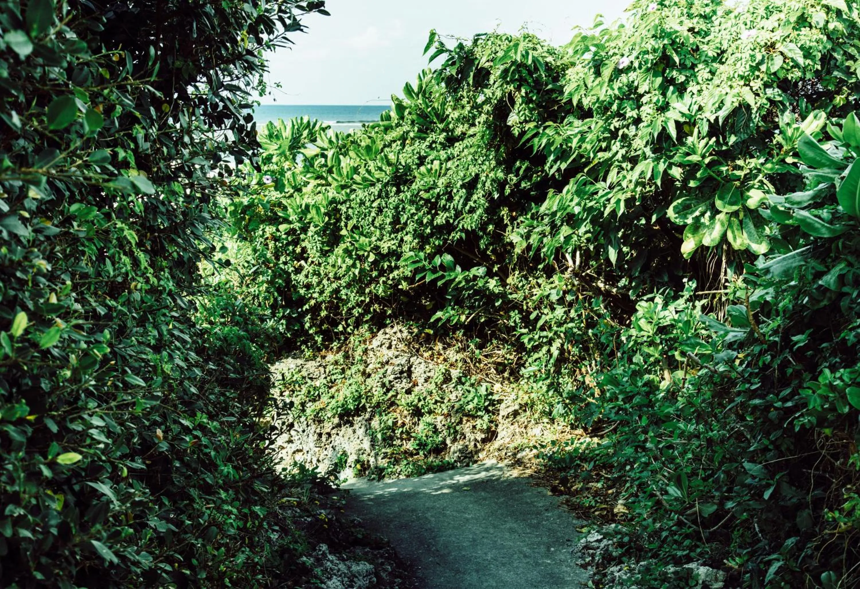 Neighbourhood in Orrs