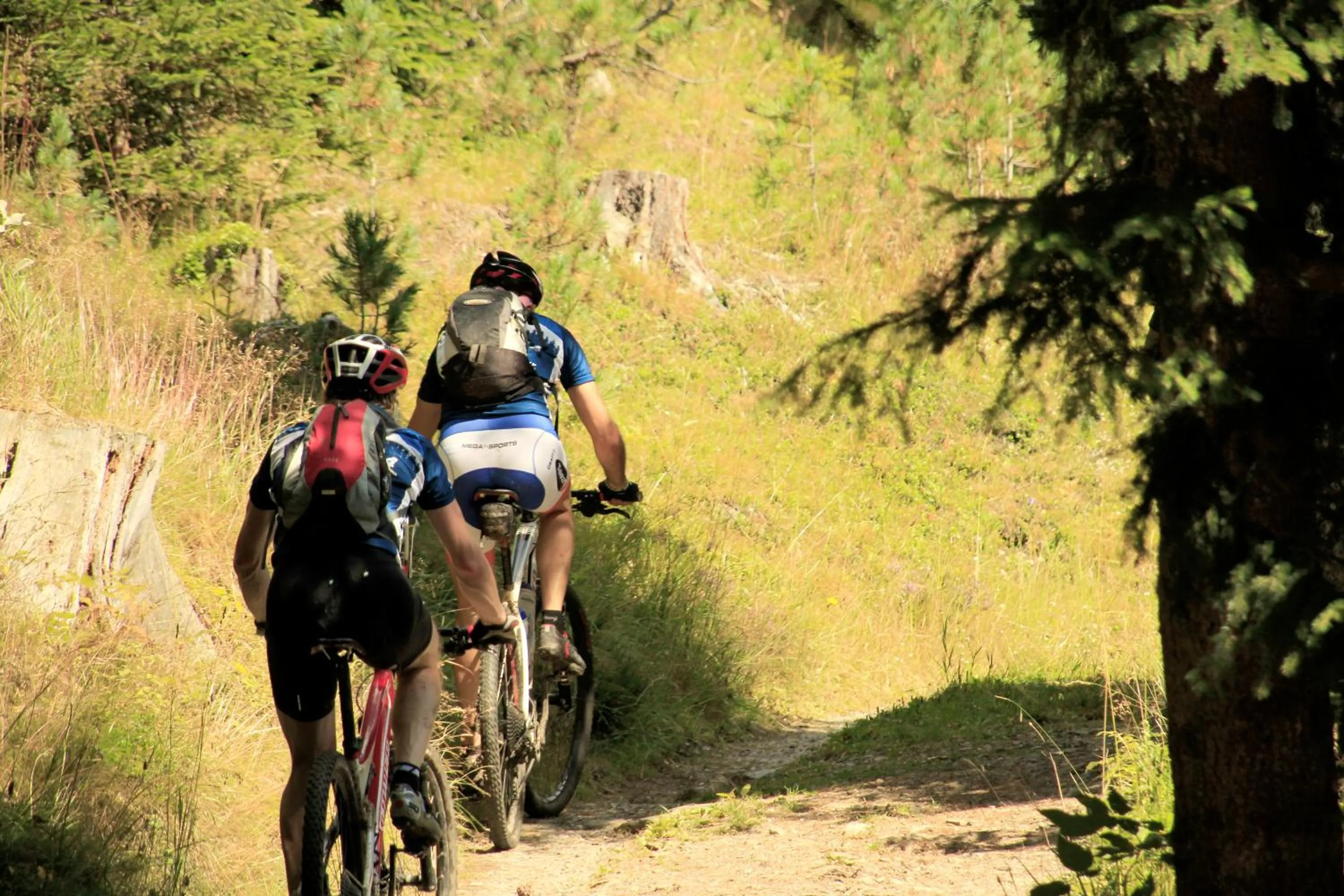 Cycling in Pension Maria