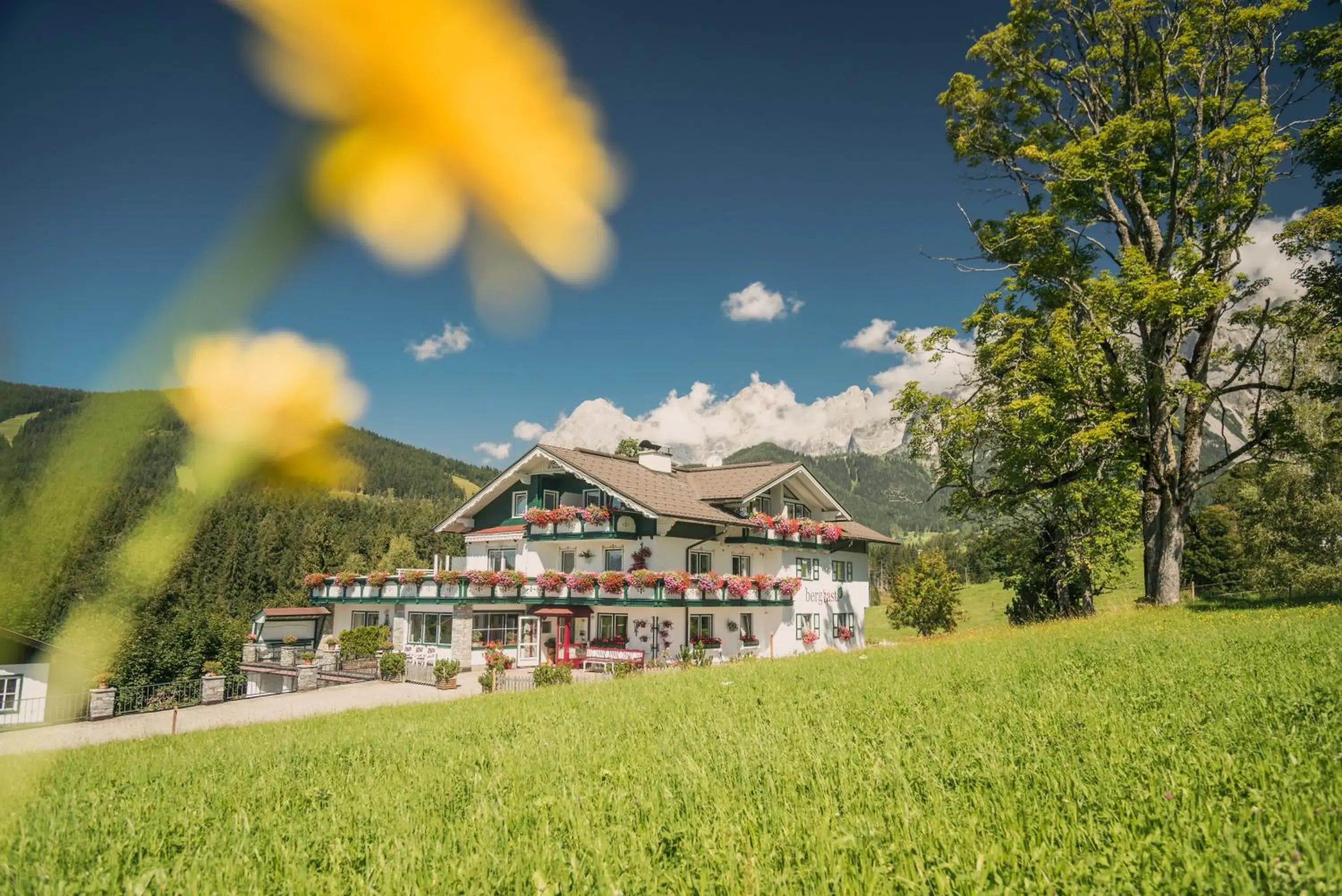 Landhaus & Ferienwohnungen Bergrast Landhaus & Ferienwohnungen Bergrast