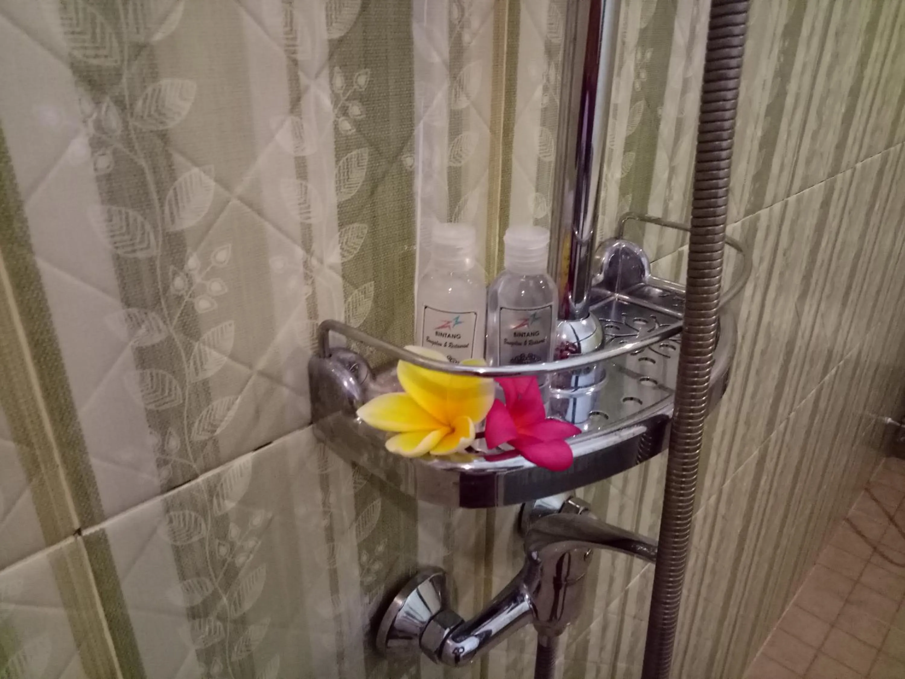 Bintang Hostel and Homestay