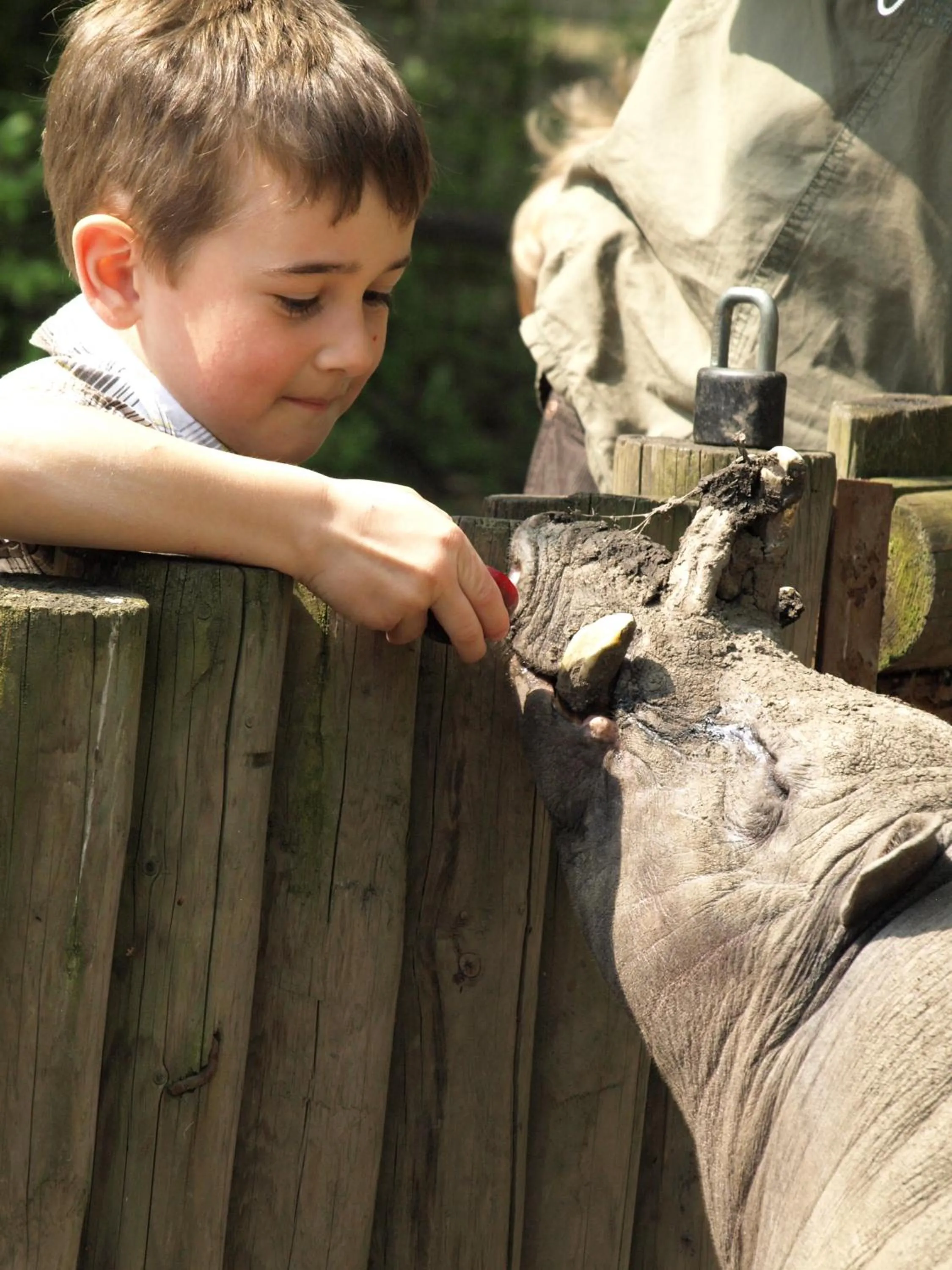 Entertainment in Hotel Devítka