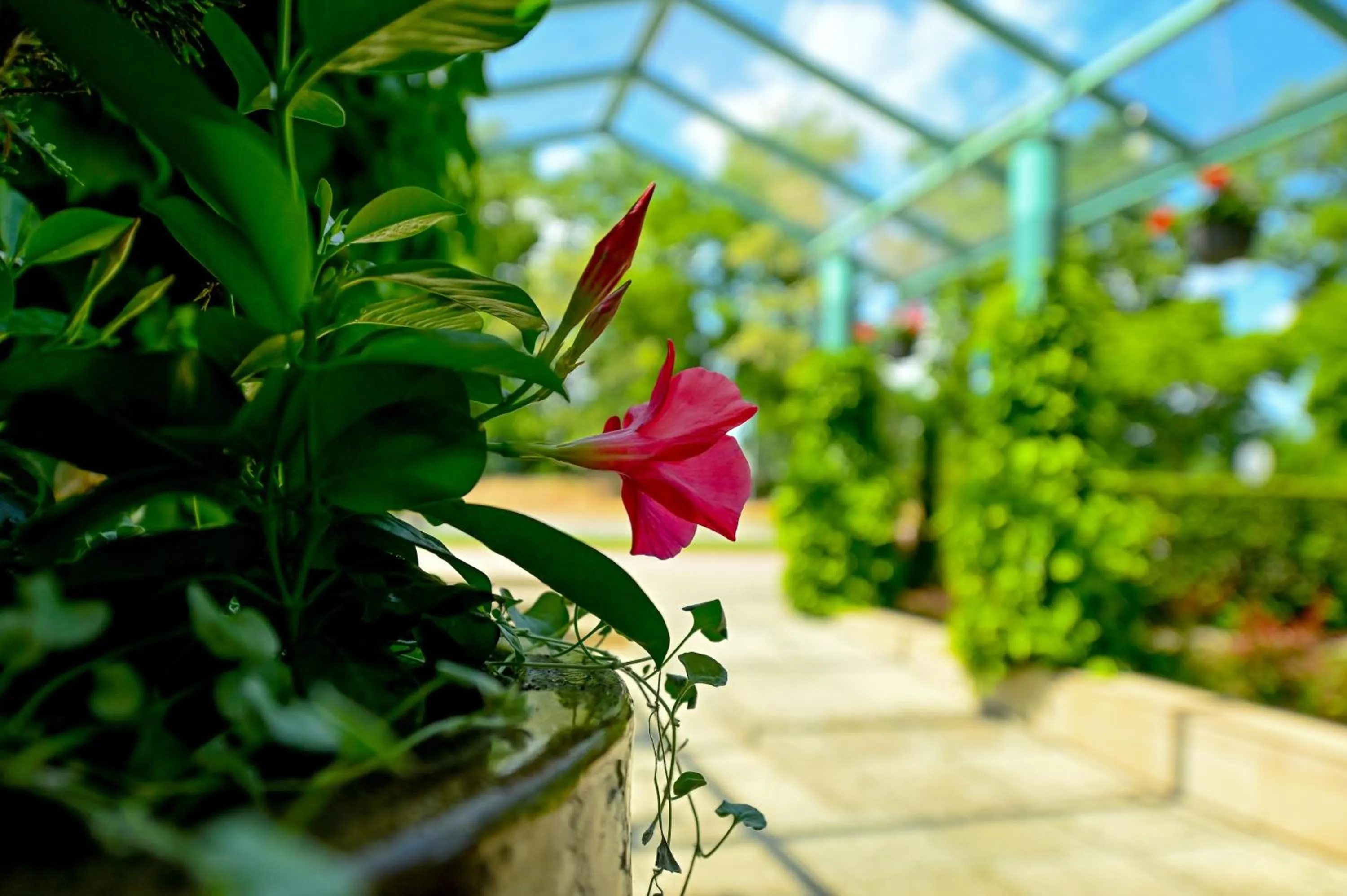 Property building in Delta In