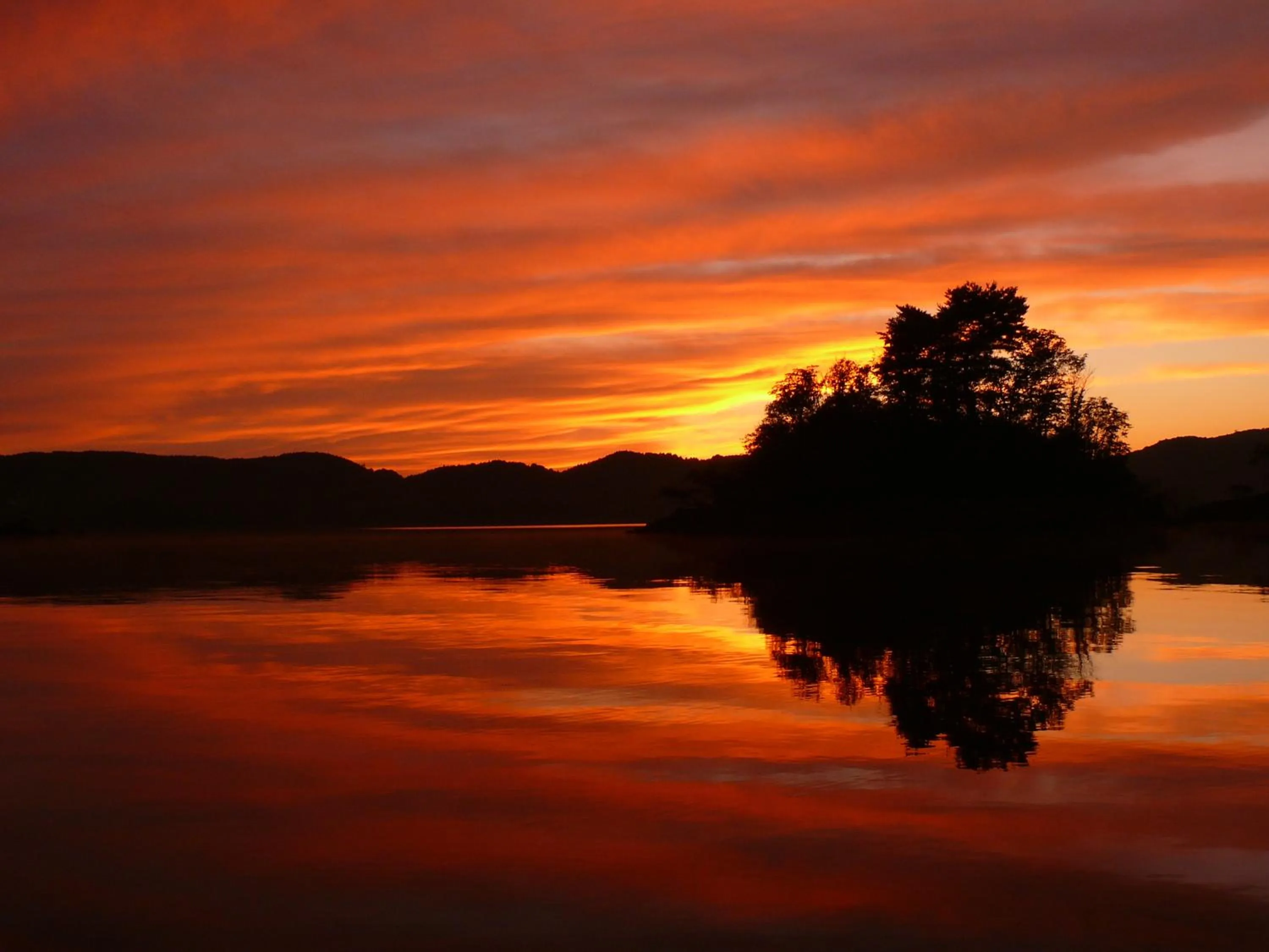 Country Inn Mori no Gorilla