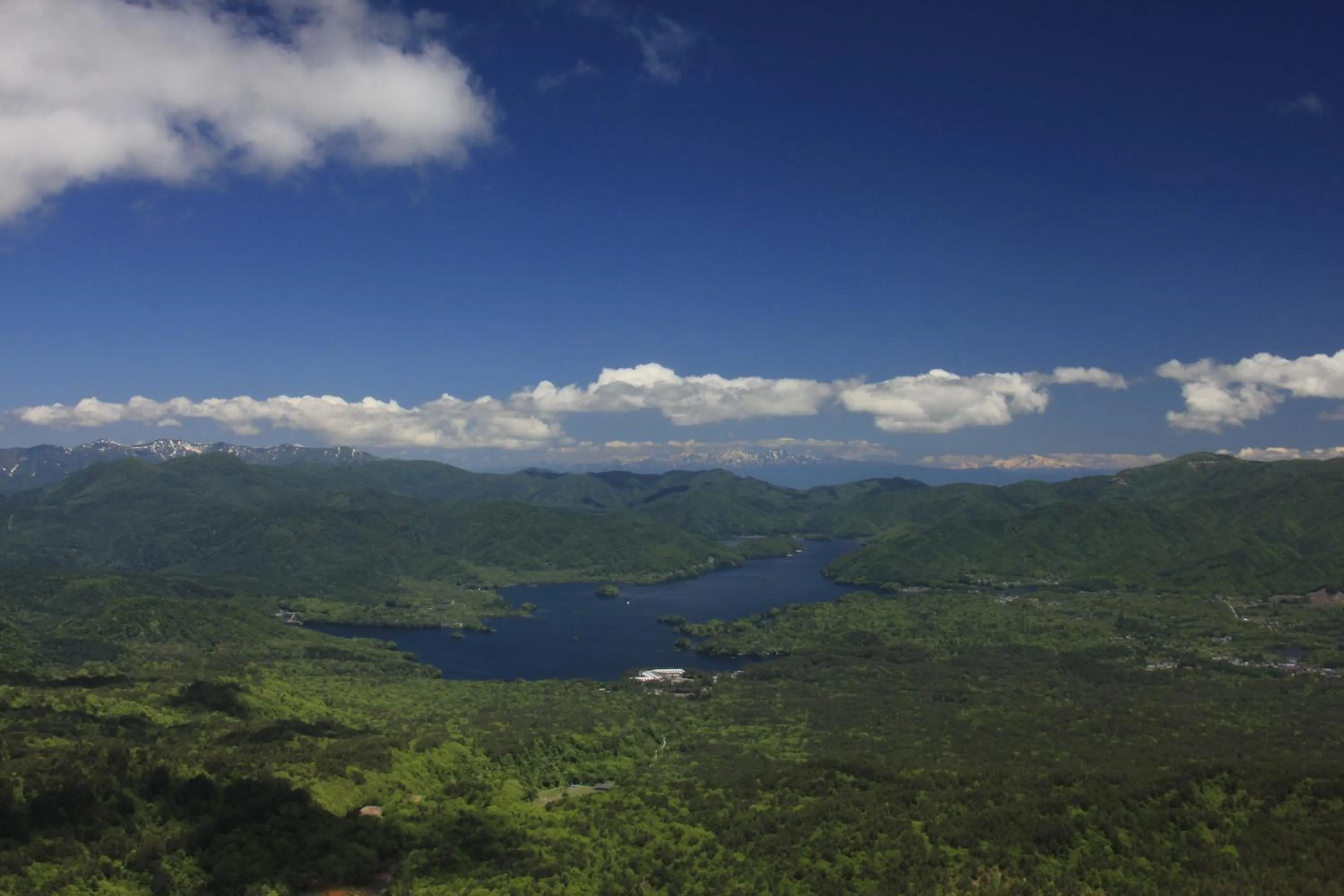 Country Inn Mori no Gorilla