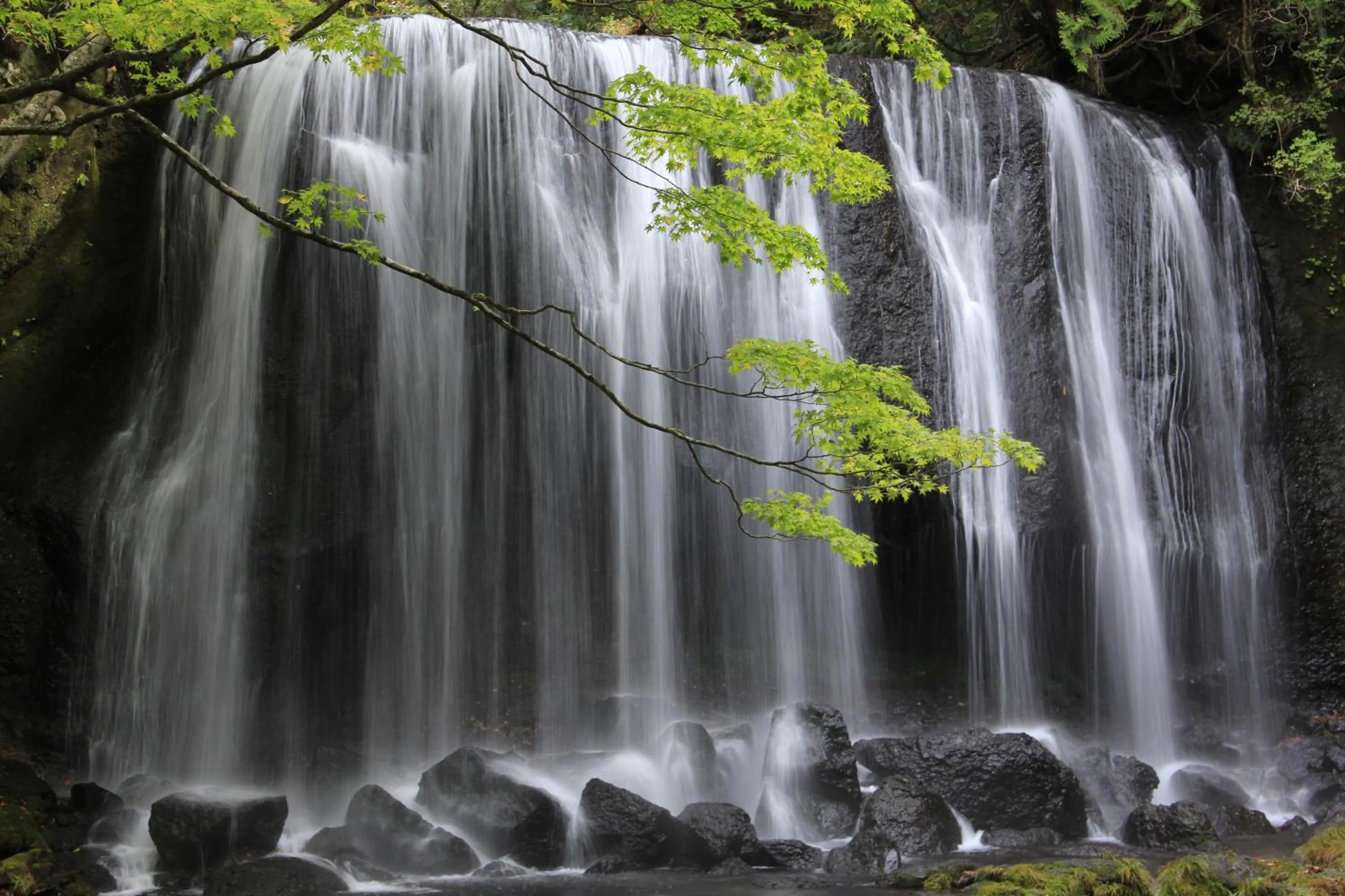 Country Inn Mori no Gorilla