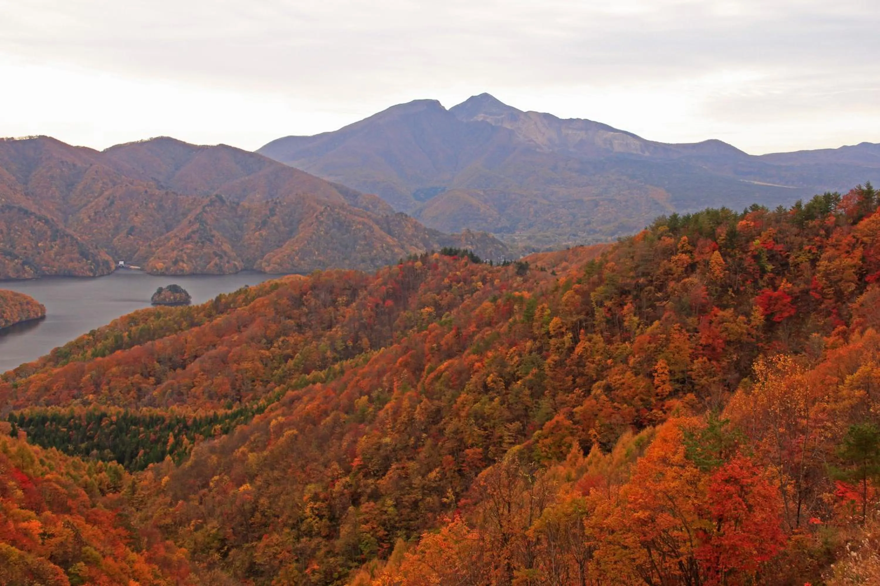 Country Inn Mori no Gorilla