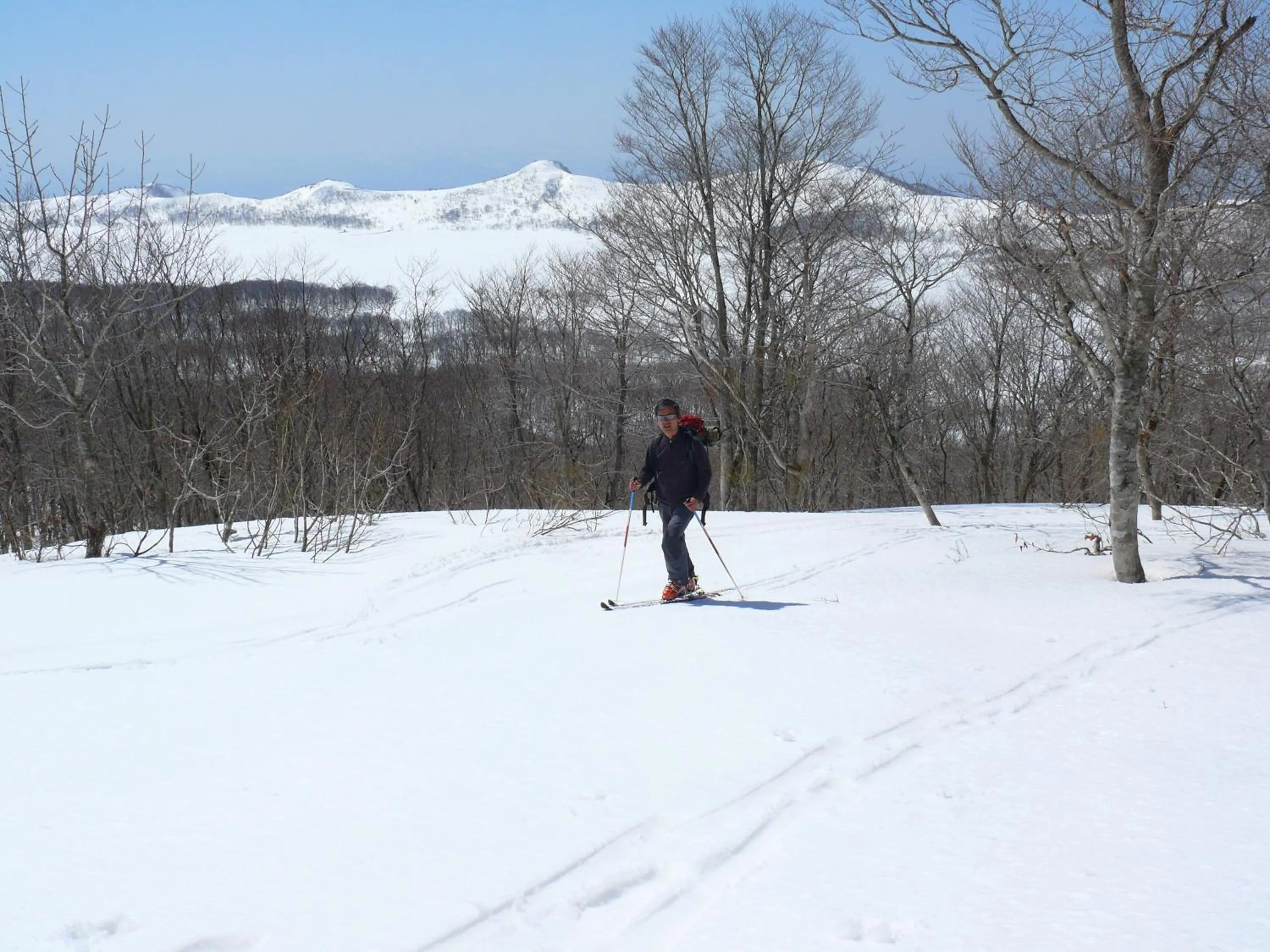 Country Inn Mori no Gorilla