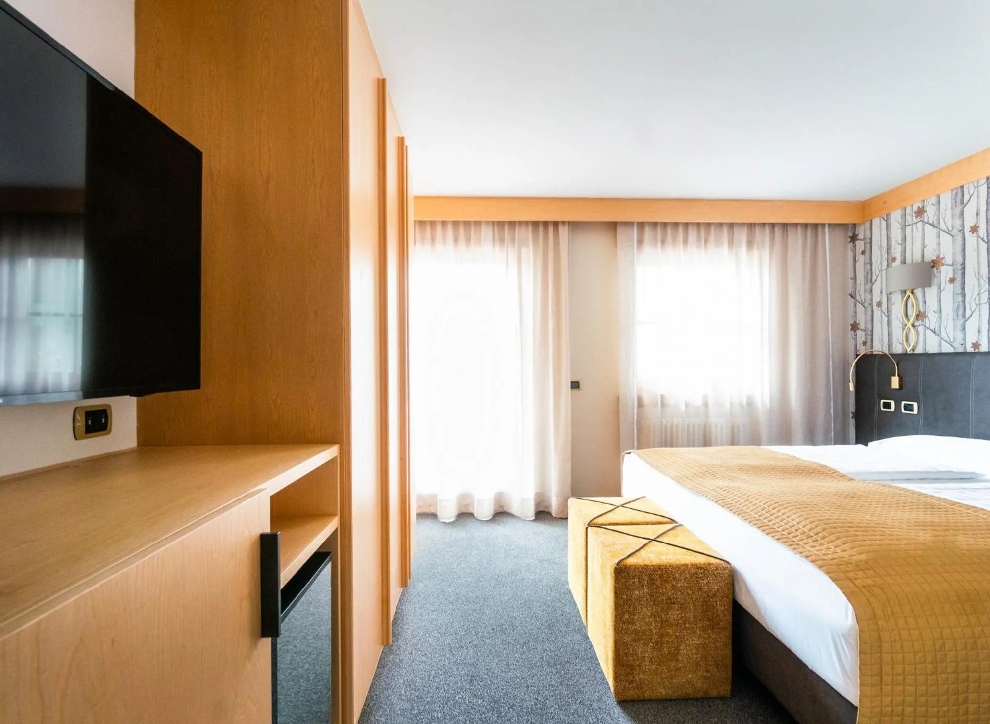 TV and multimedia, Bed in Garni Aritz