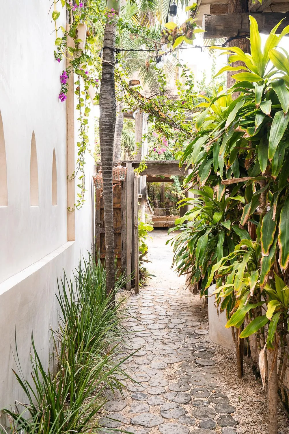 Garden in La Posada del Sol Boutique Hotel Tulum