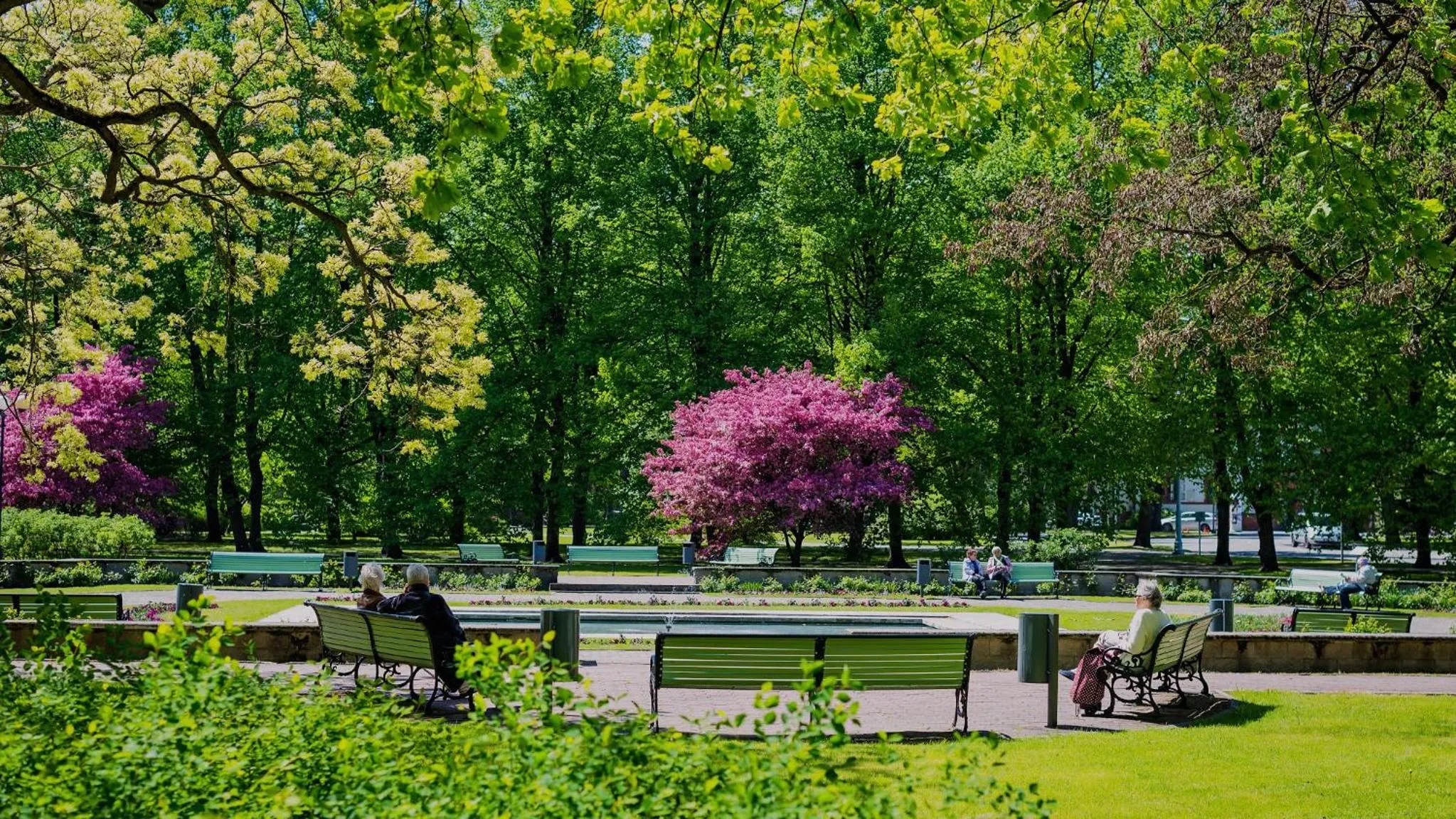 Natural landscape in Koidulapark Hotell