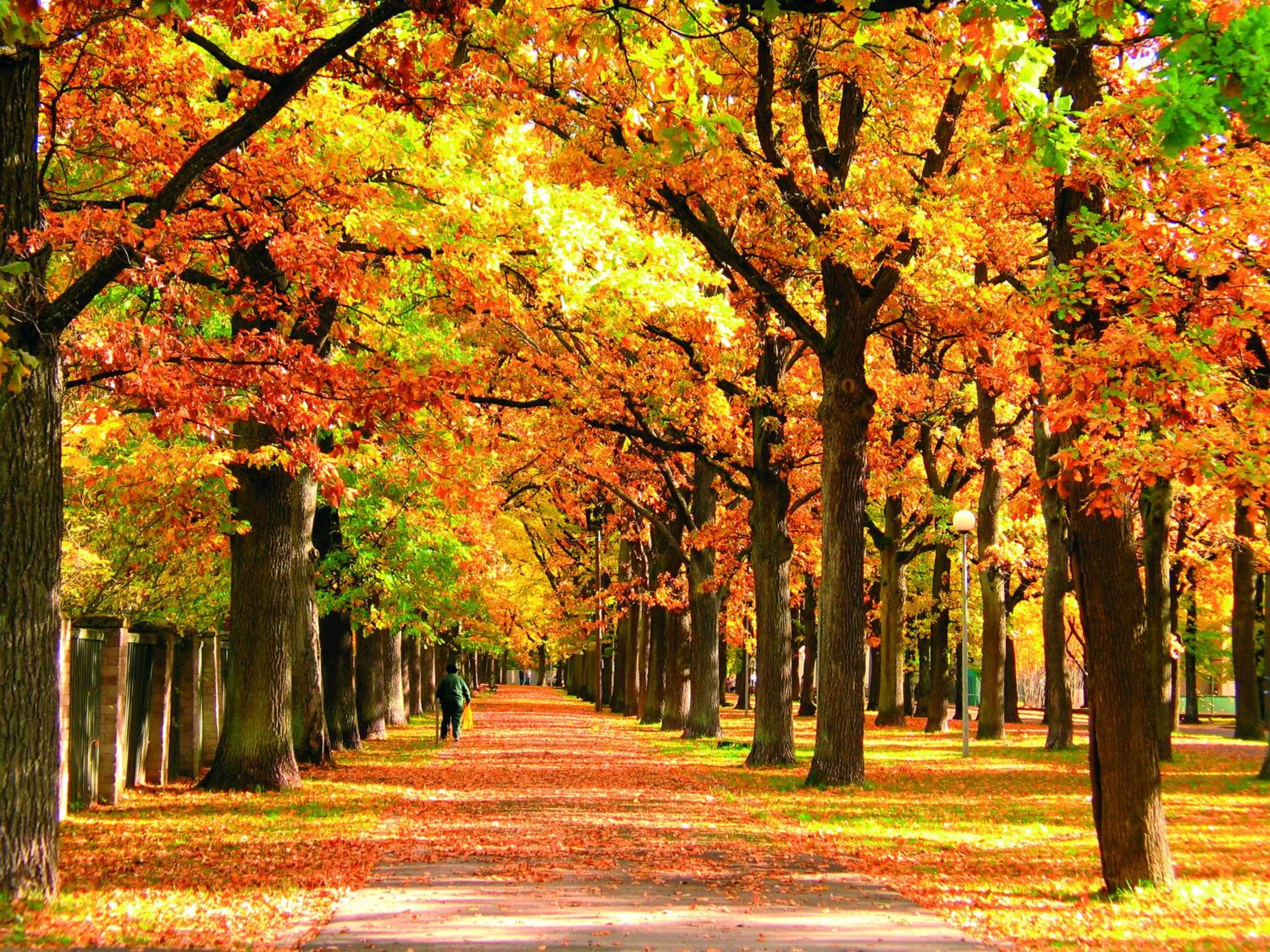 Natural landscape in Koidulapark Hotell