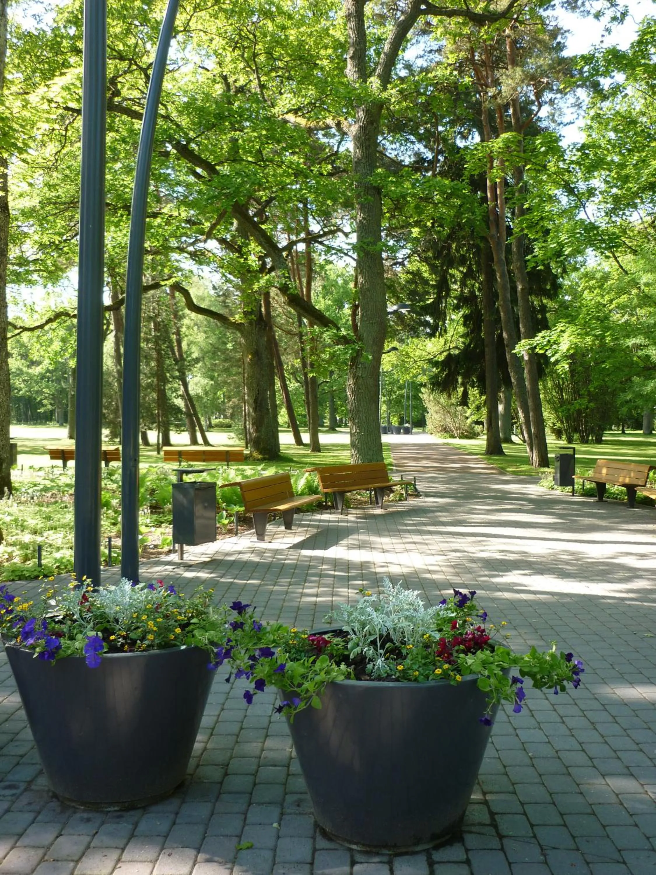 Neighbourhood in Koidulapark Hotell