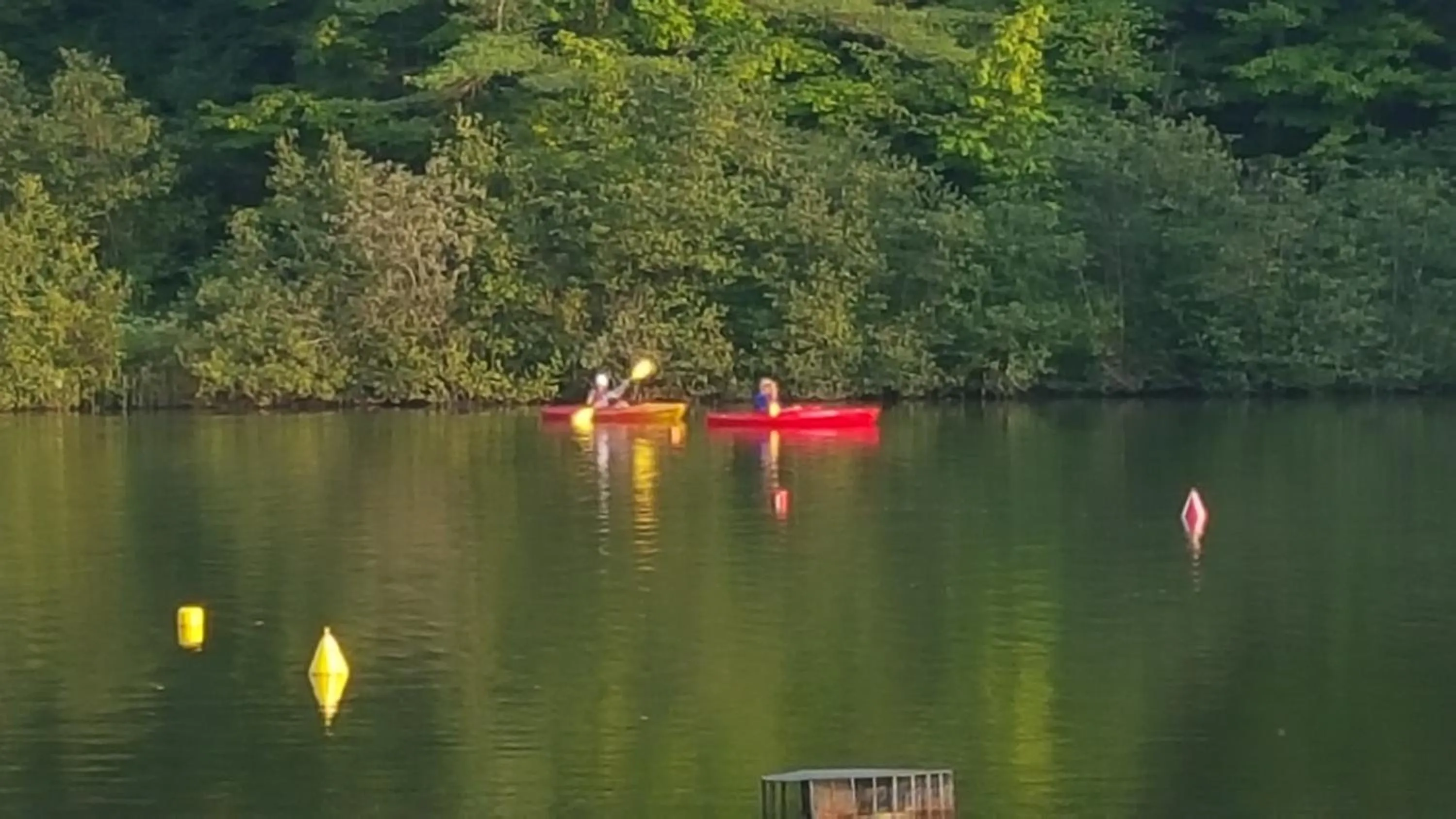 Day in Commodores Inn