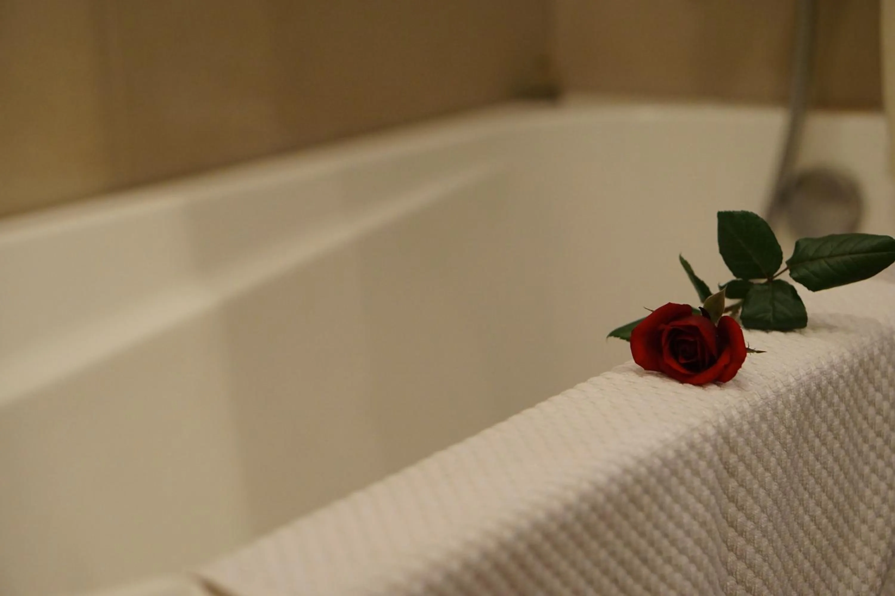 Hot Tub in Rosaleen Boutique Hotel